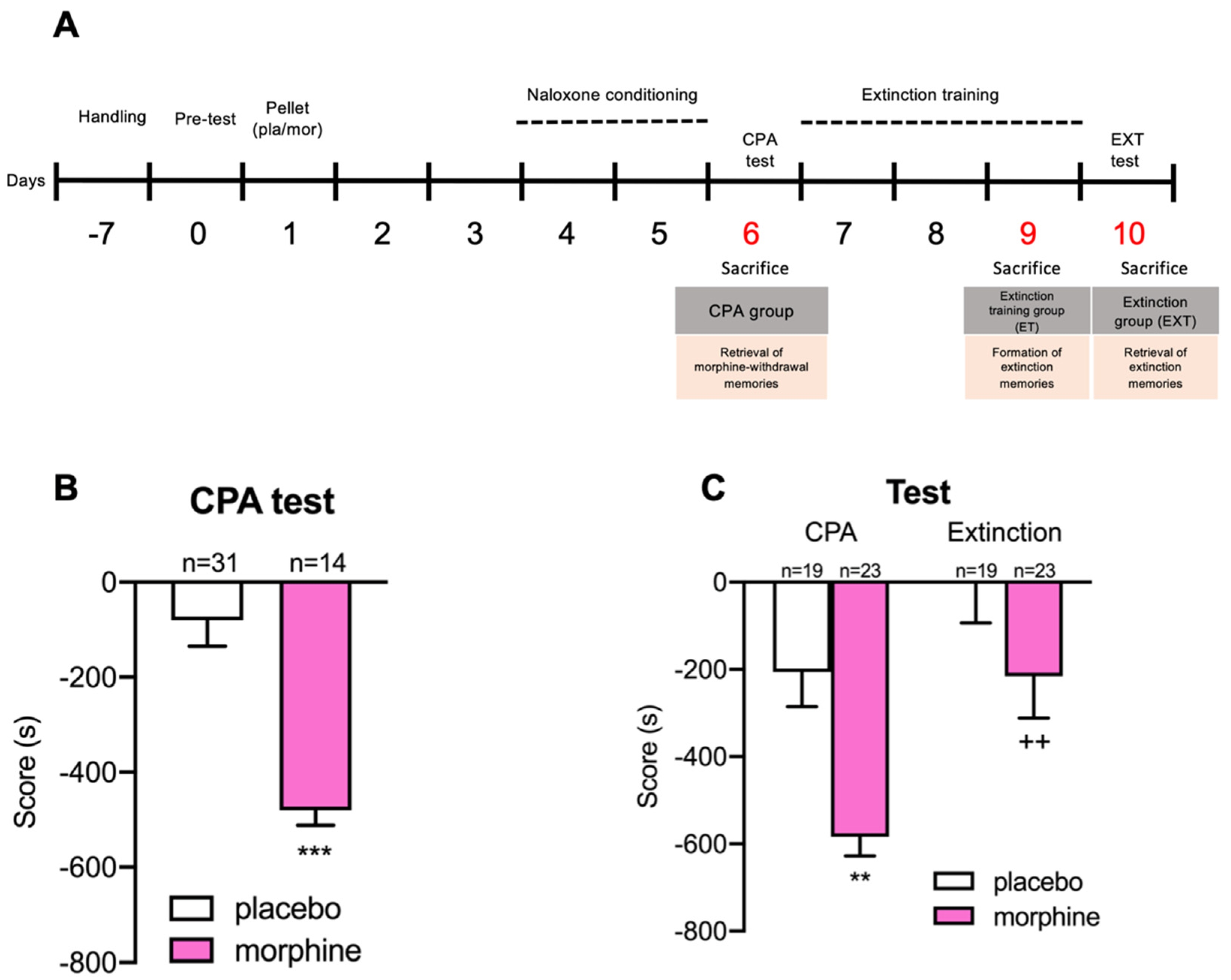Biomedicines 10 00588 g001