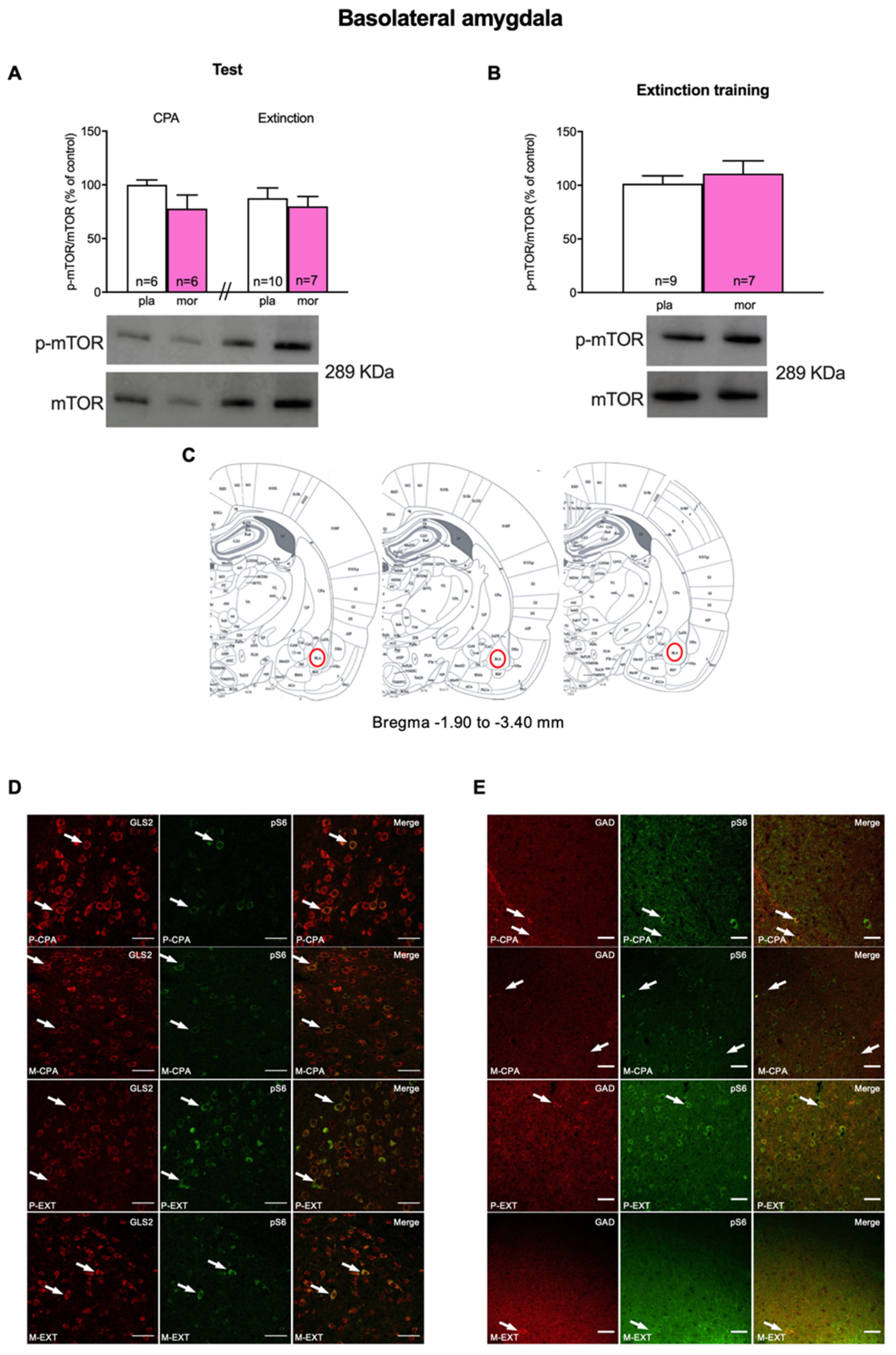 Biomedicines 10 00588 g002