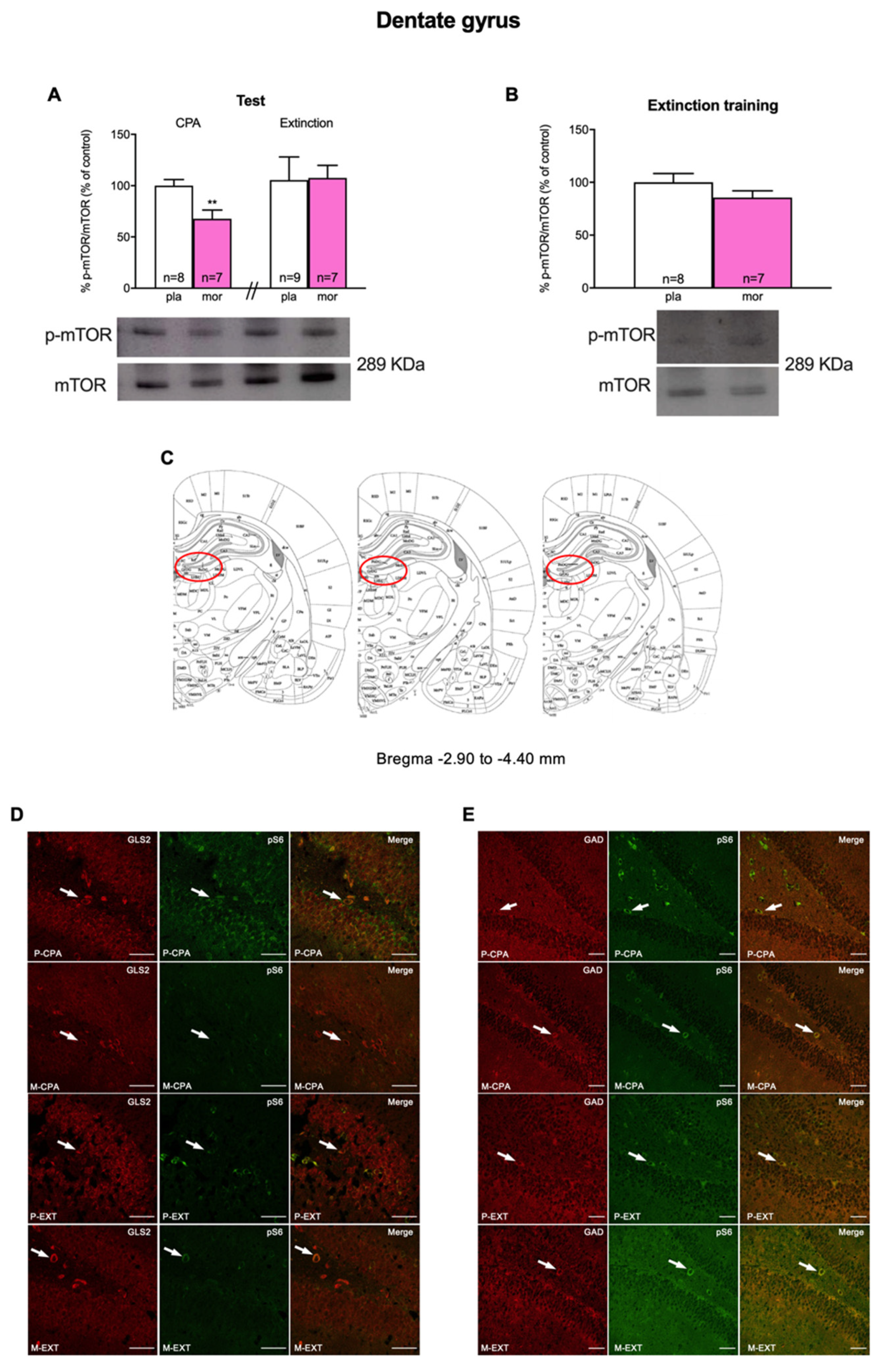 Biomedicines 10 00588 g003