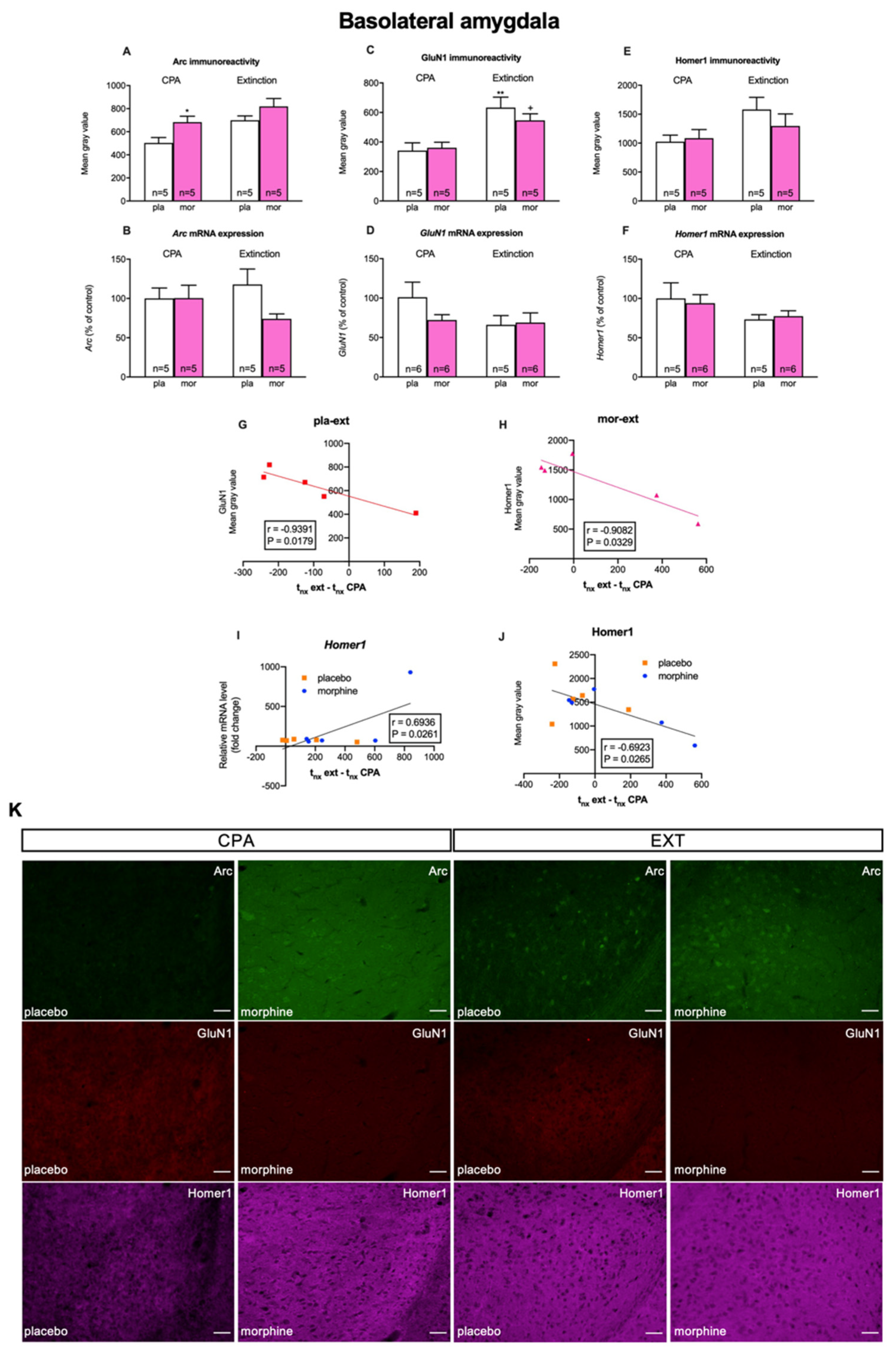 Biomedicines 10 00588 g004