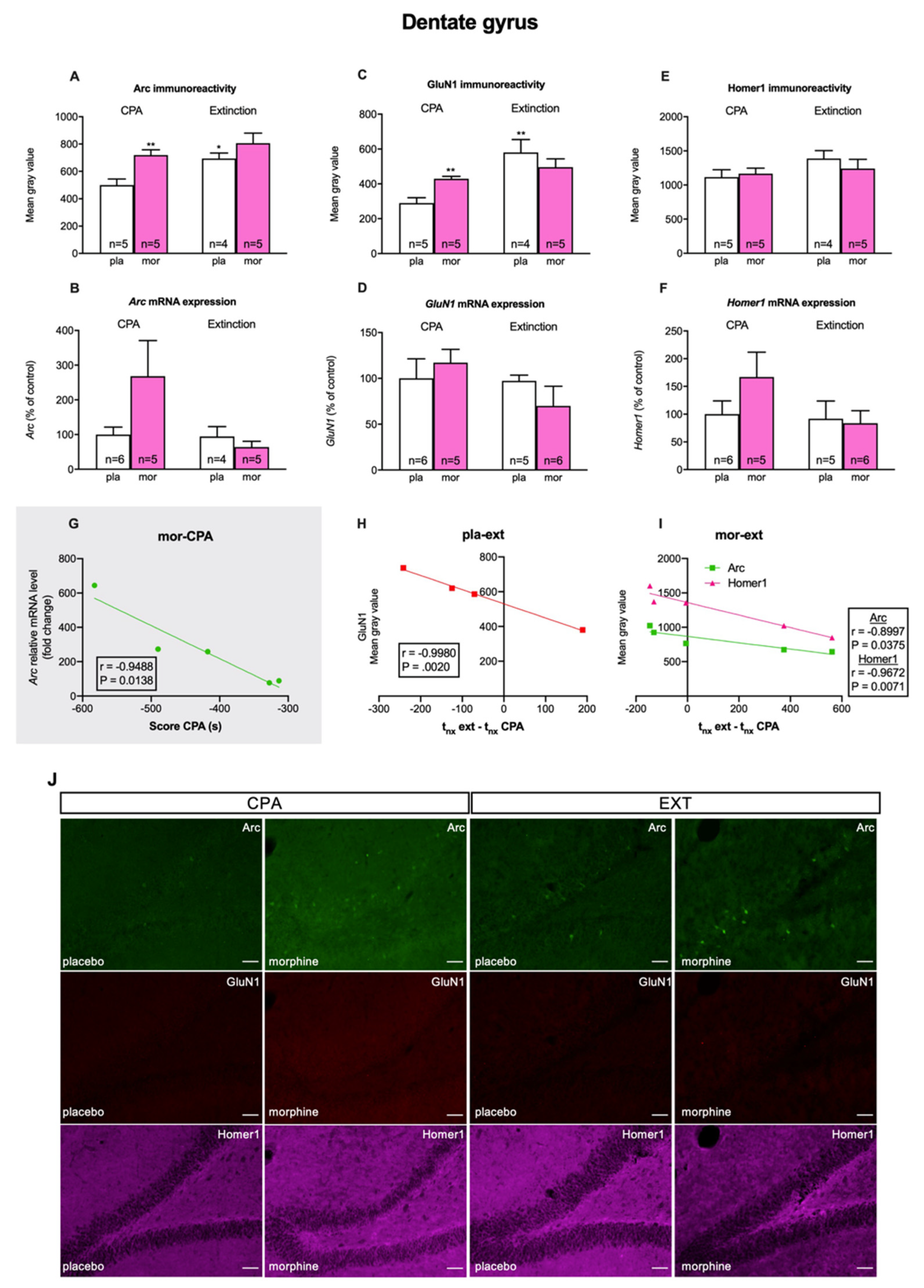 Biomedicines 10 00588 g005