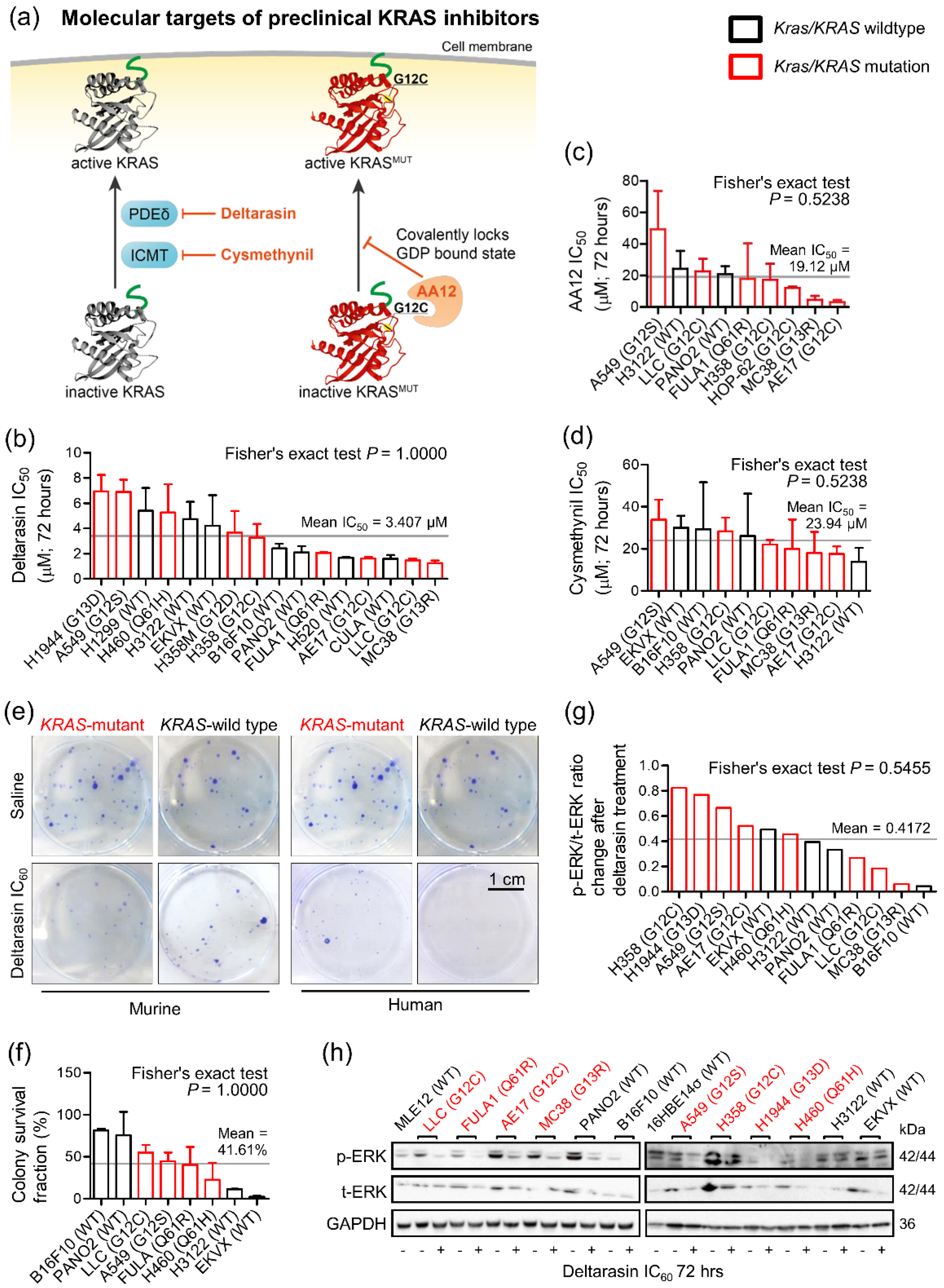 Biomedicines 10 00592 g001