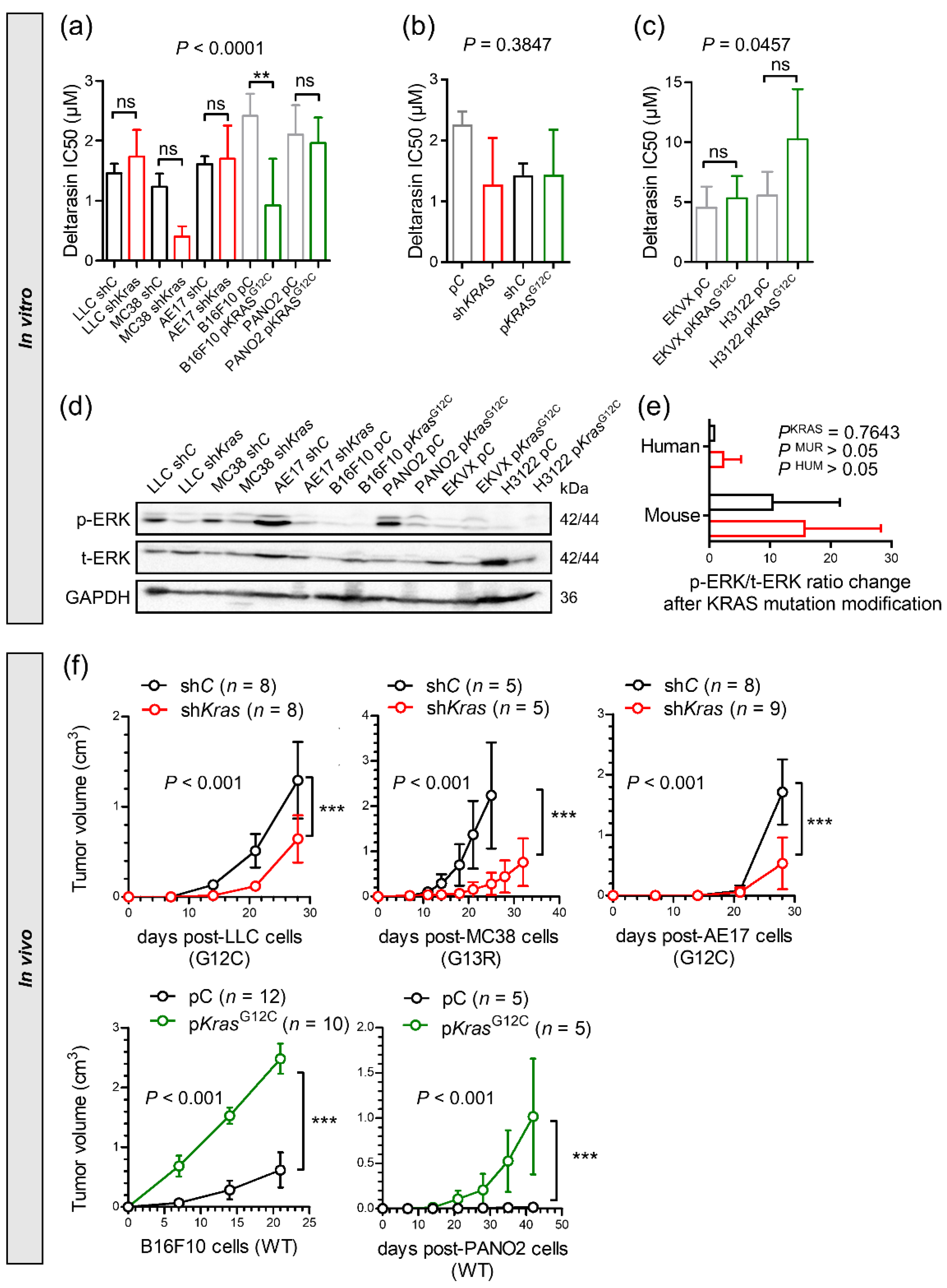 Biomedicines 10 00592 g003