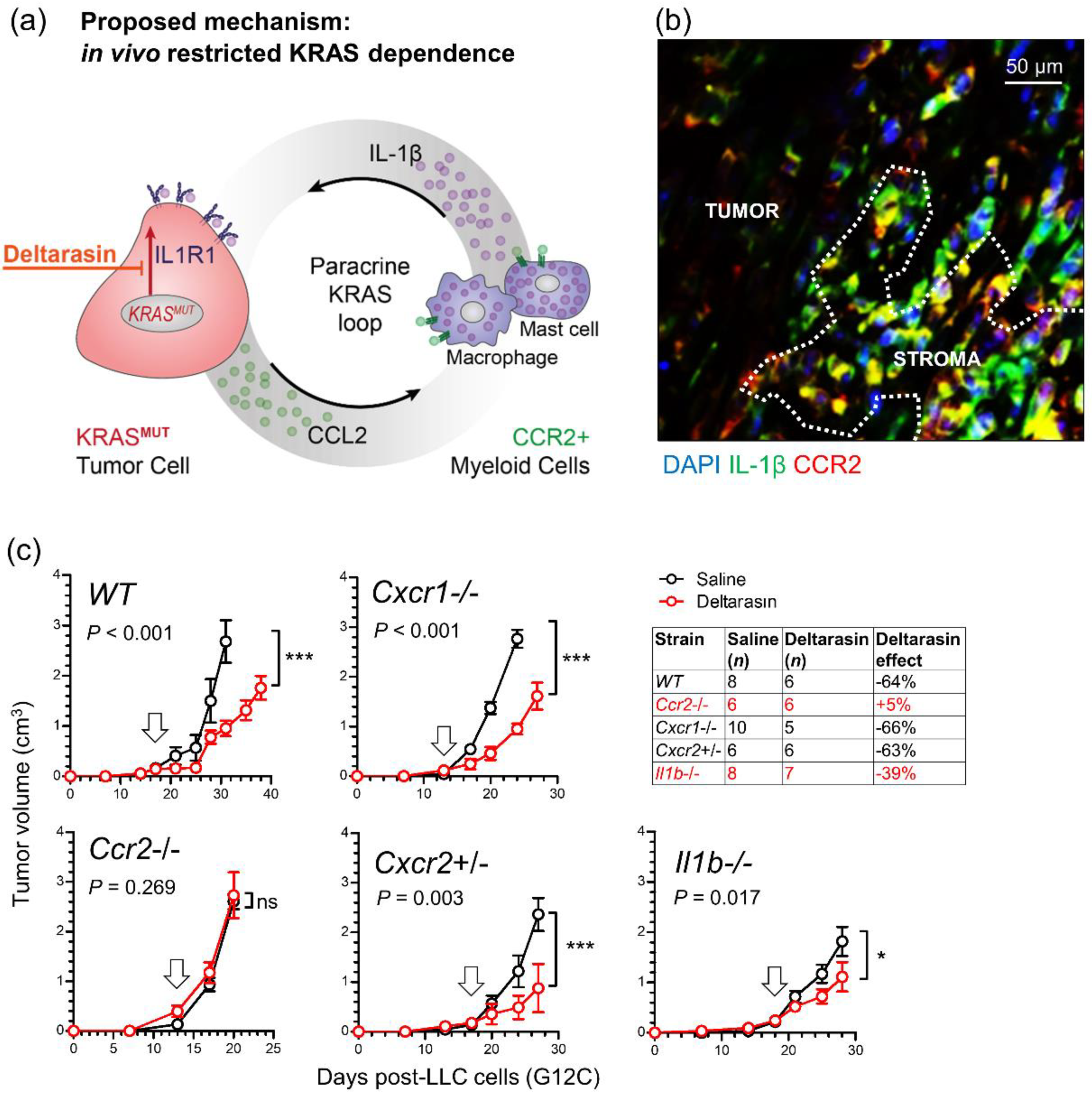 Biomedicines 10 00592 g005
