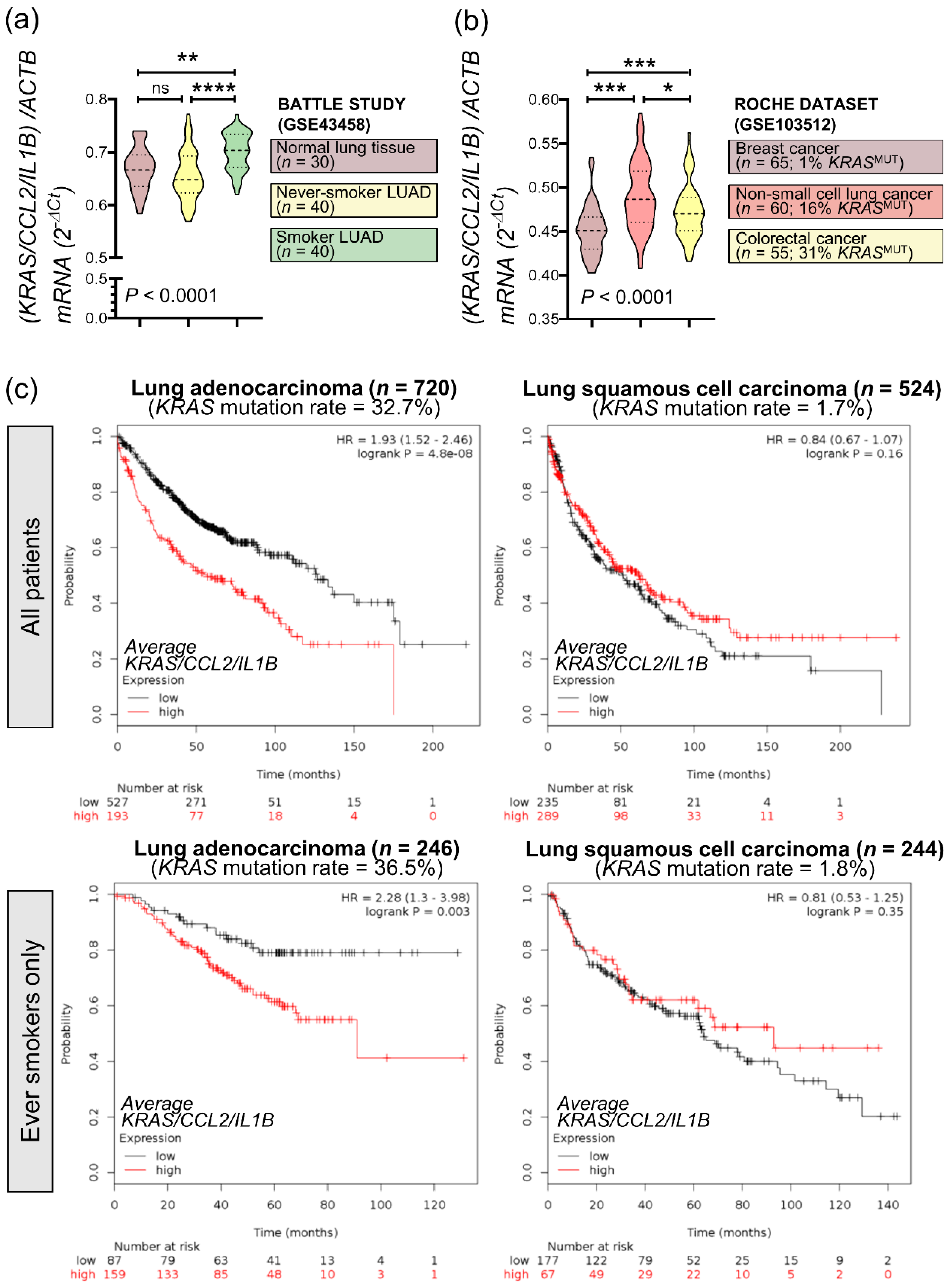Biomedicines 10 00592 g007