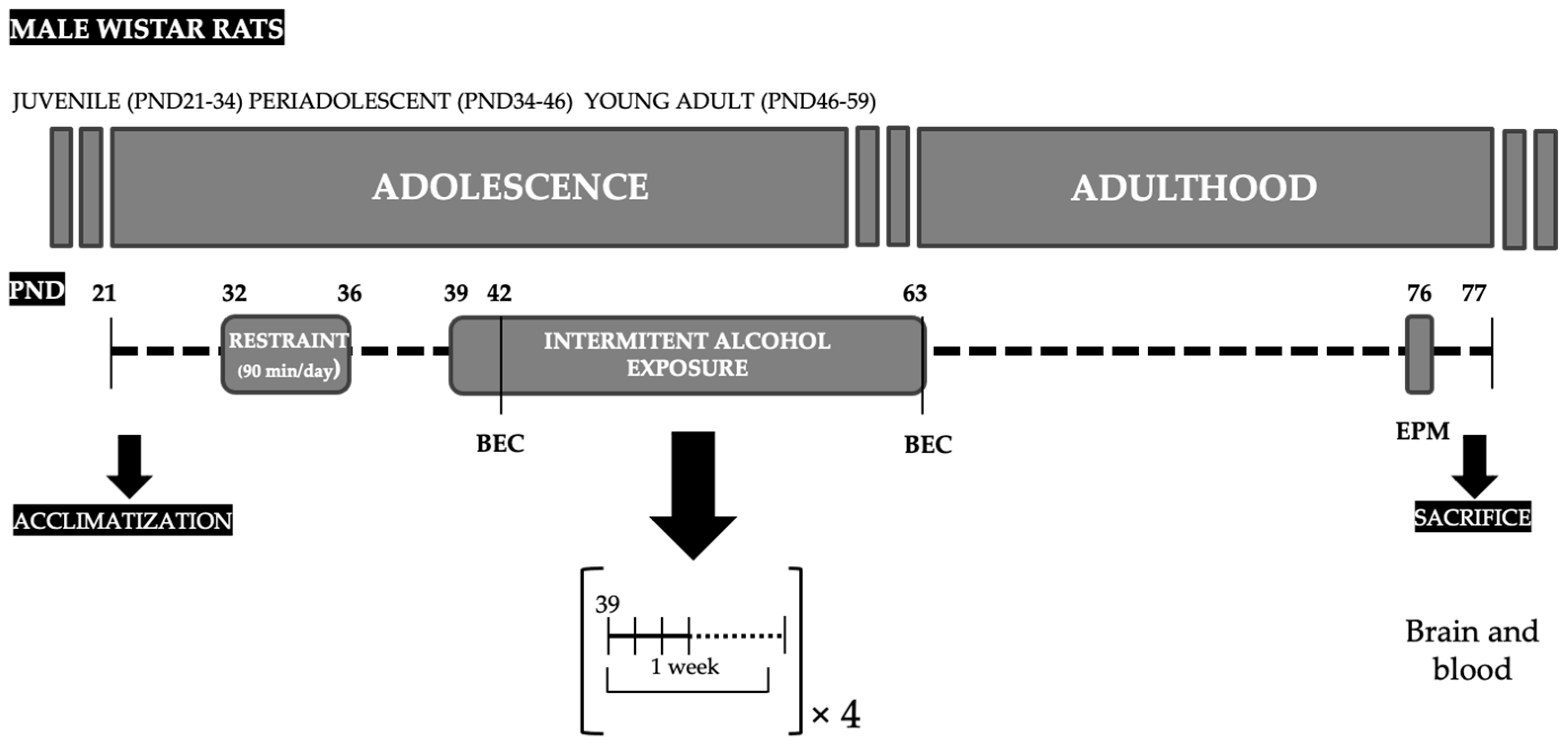 Biomedicines 10 00593 g001