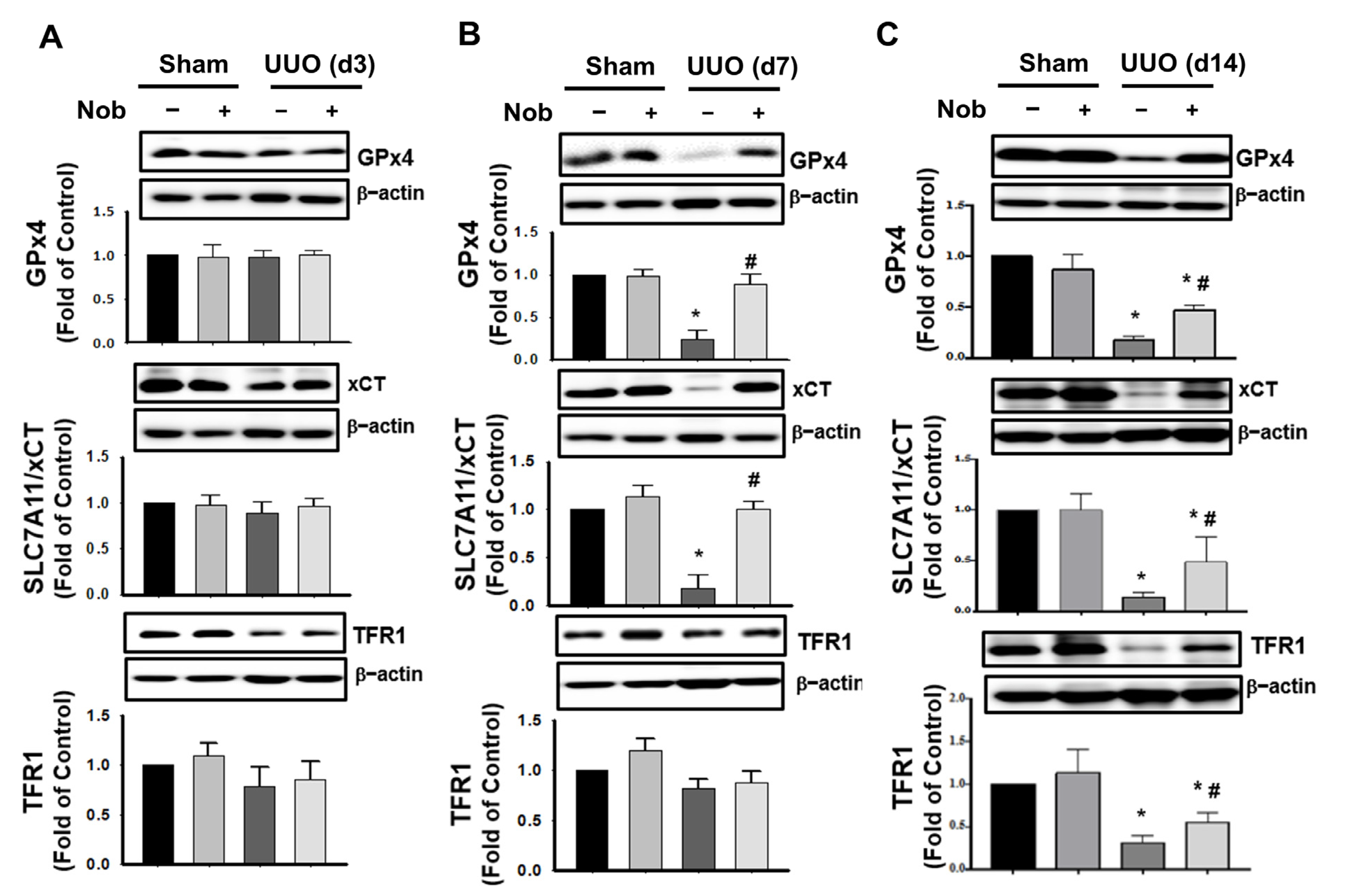 Biomedicines 10 00595 g005 550