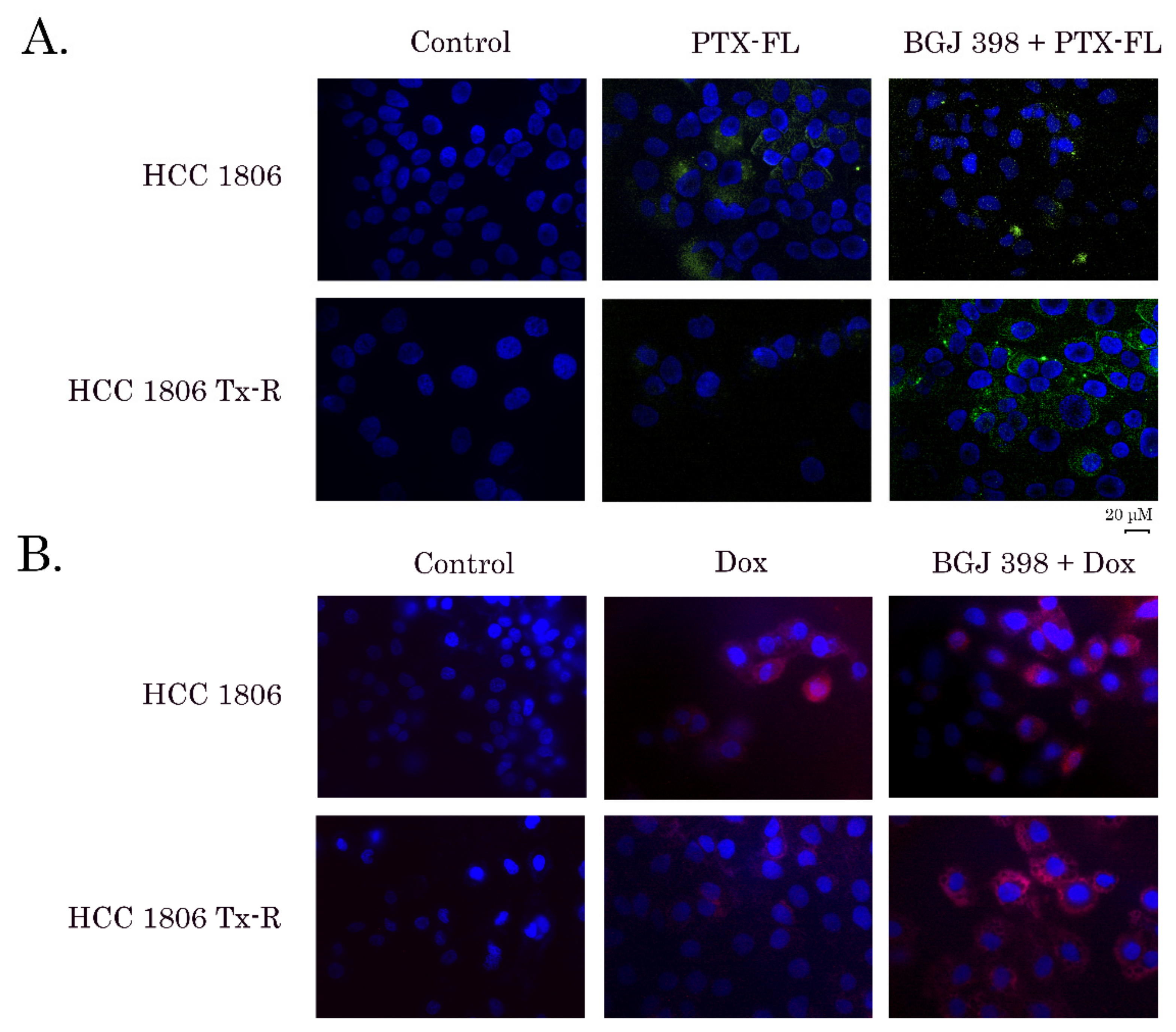 Biomedicines 10 00601 g002