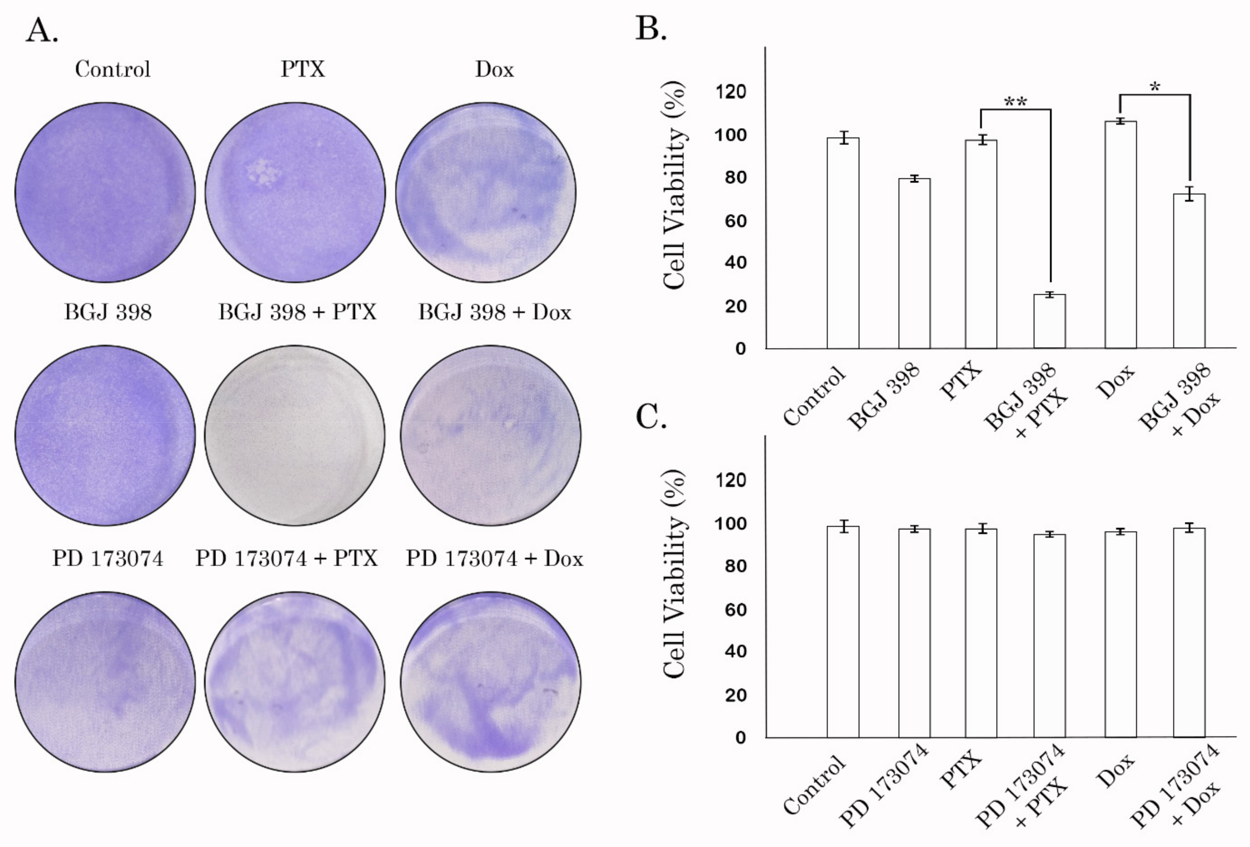 Biomedicines 10 00601 g008