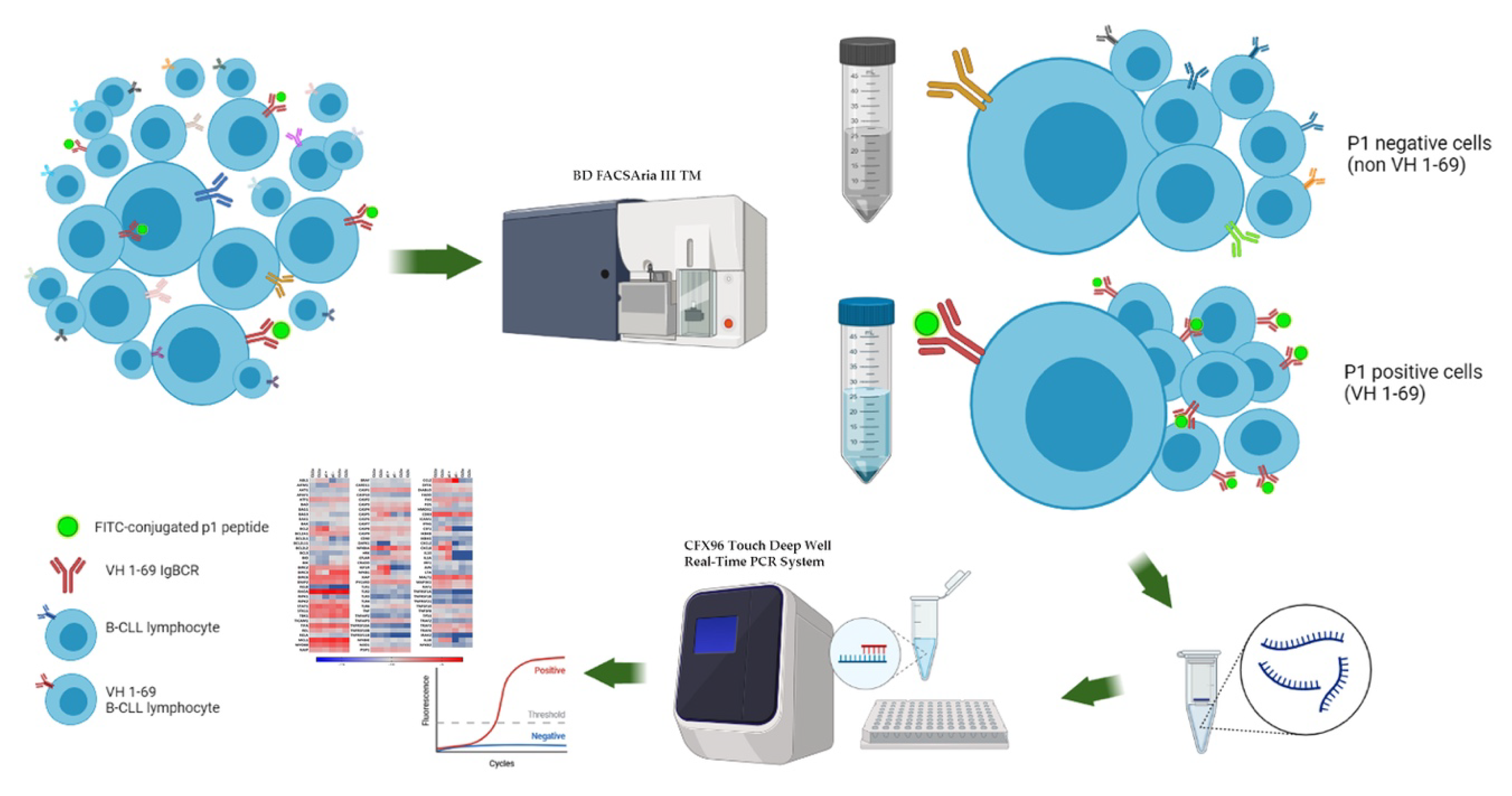Biomedicines 10 00604 g002