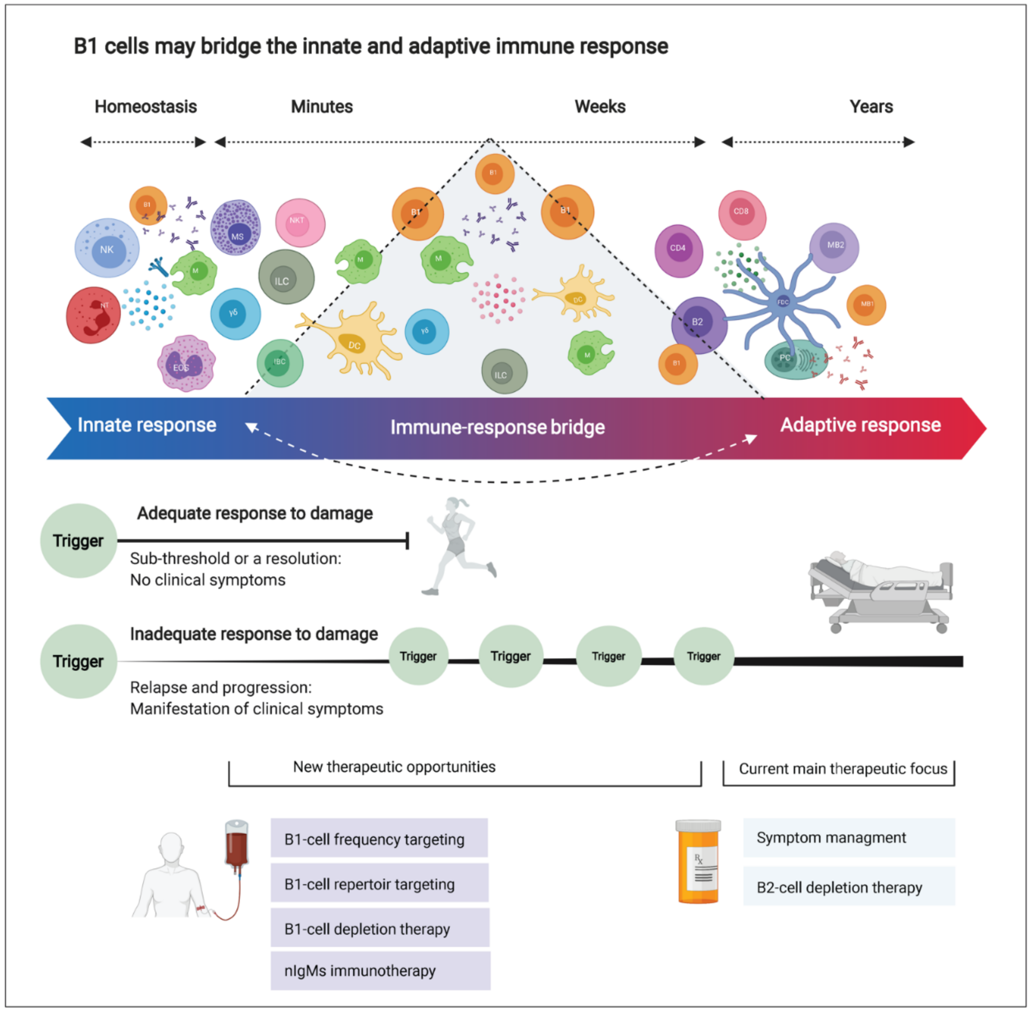 Biomedicines 10 00606 g006