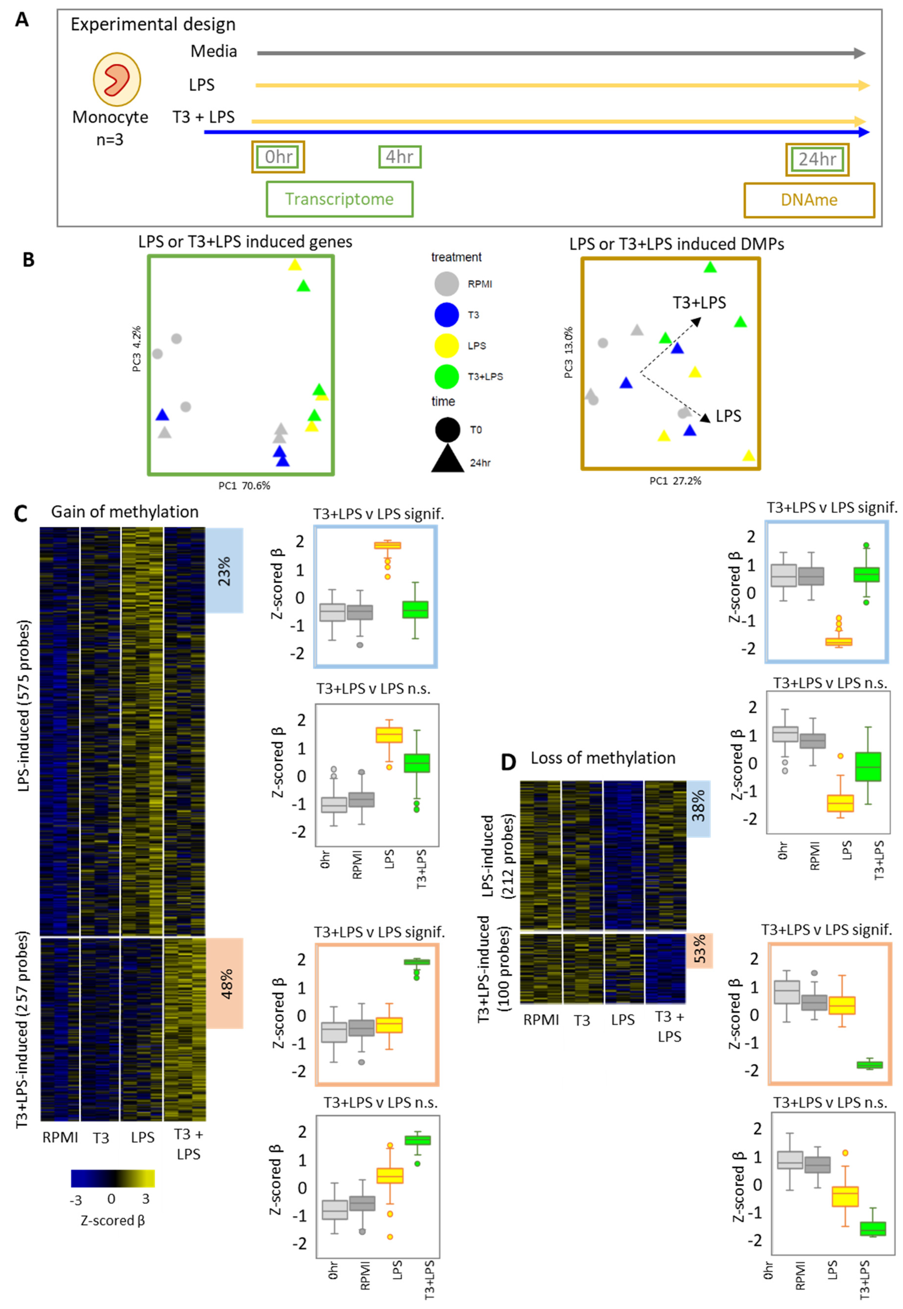 Biomedicines 10 00608 g003