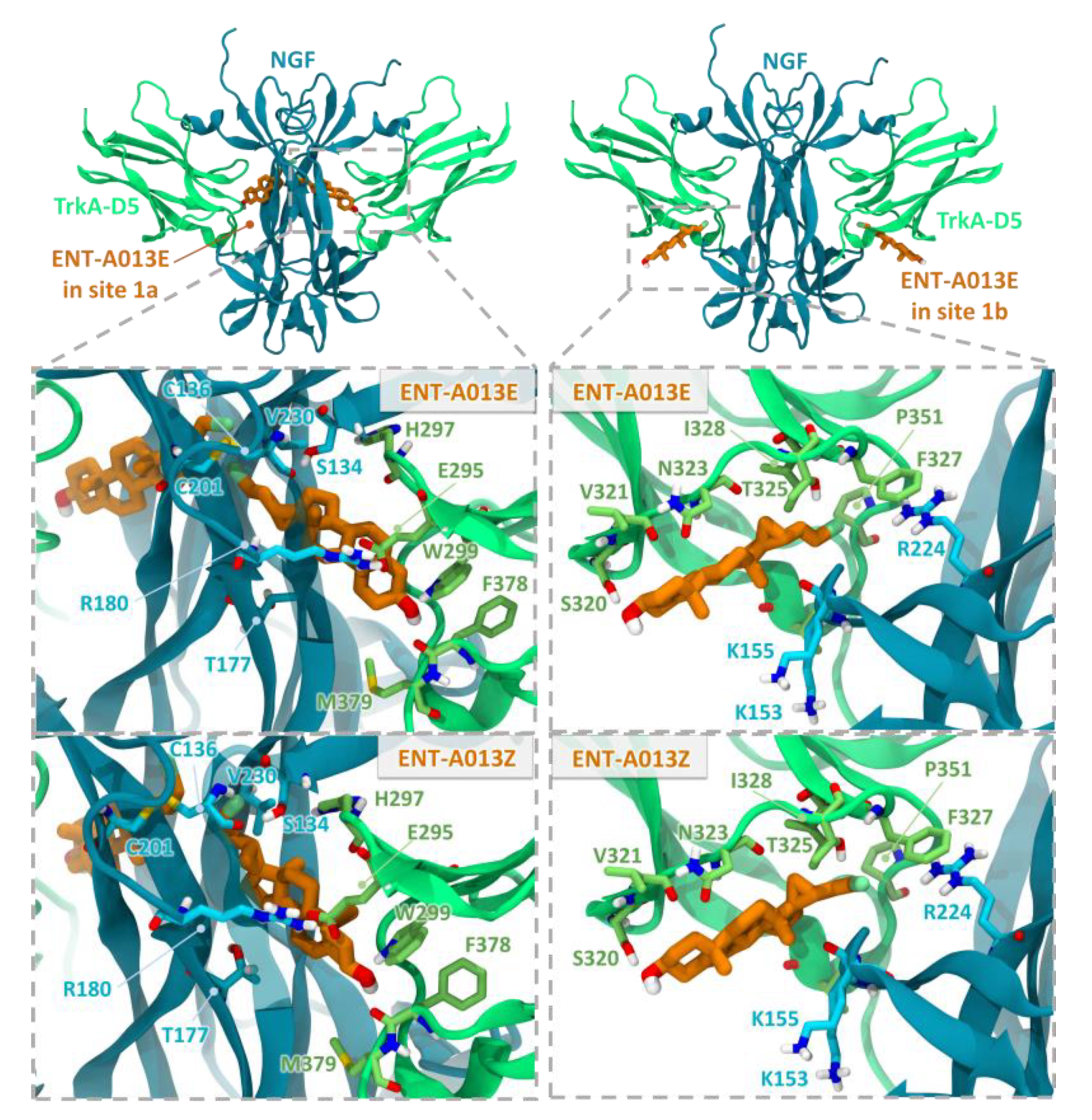 Biomedicines 10 00614 g001 Biomedicines 10 00614 g001