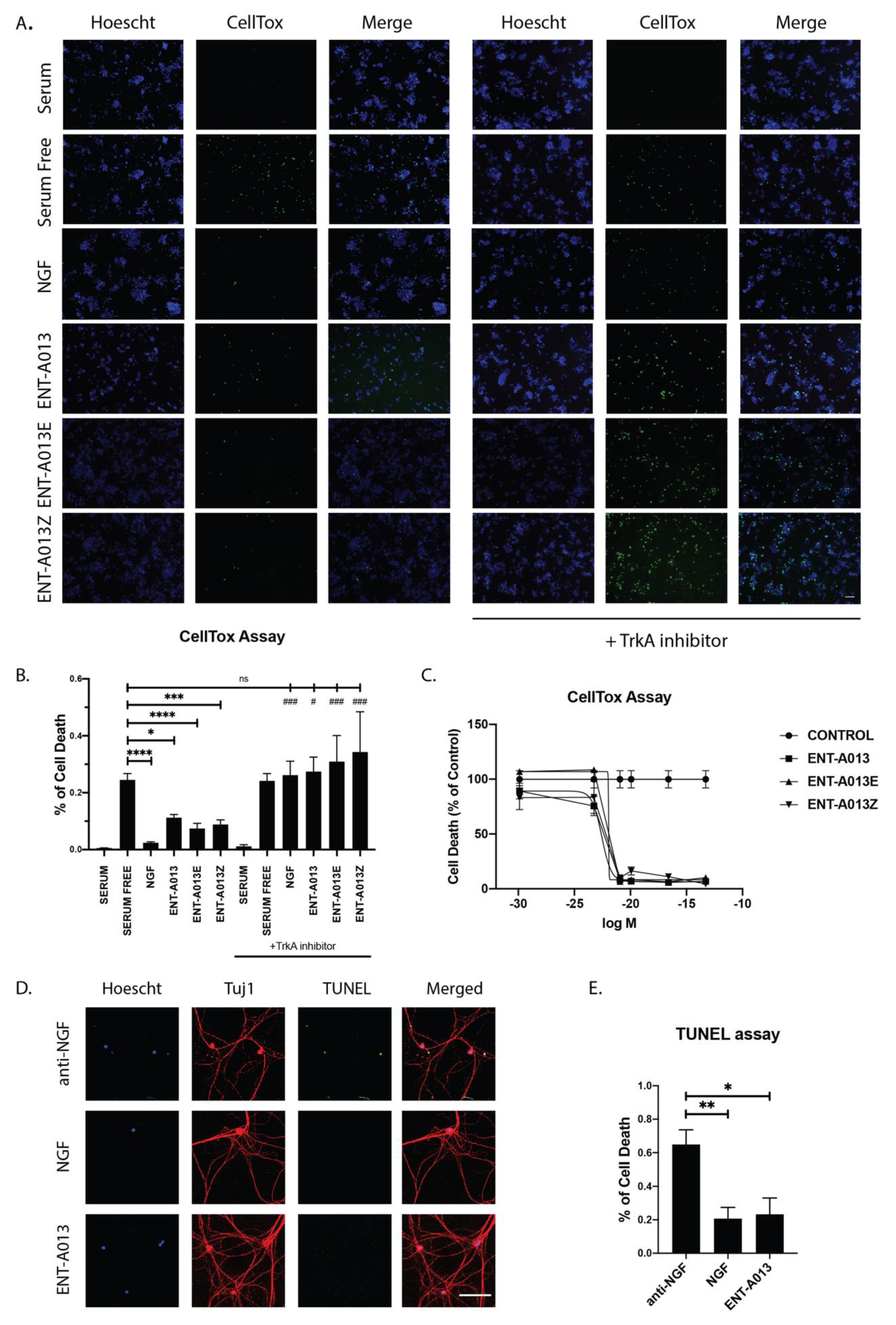 Biomedicines 10 00614 g004 Biomedicines 10 00614 g004