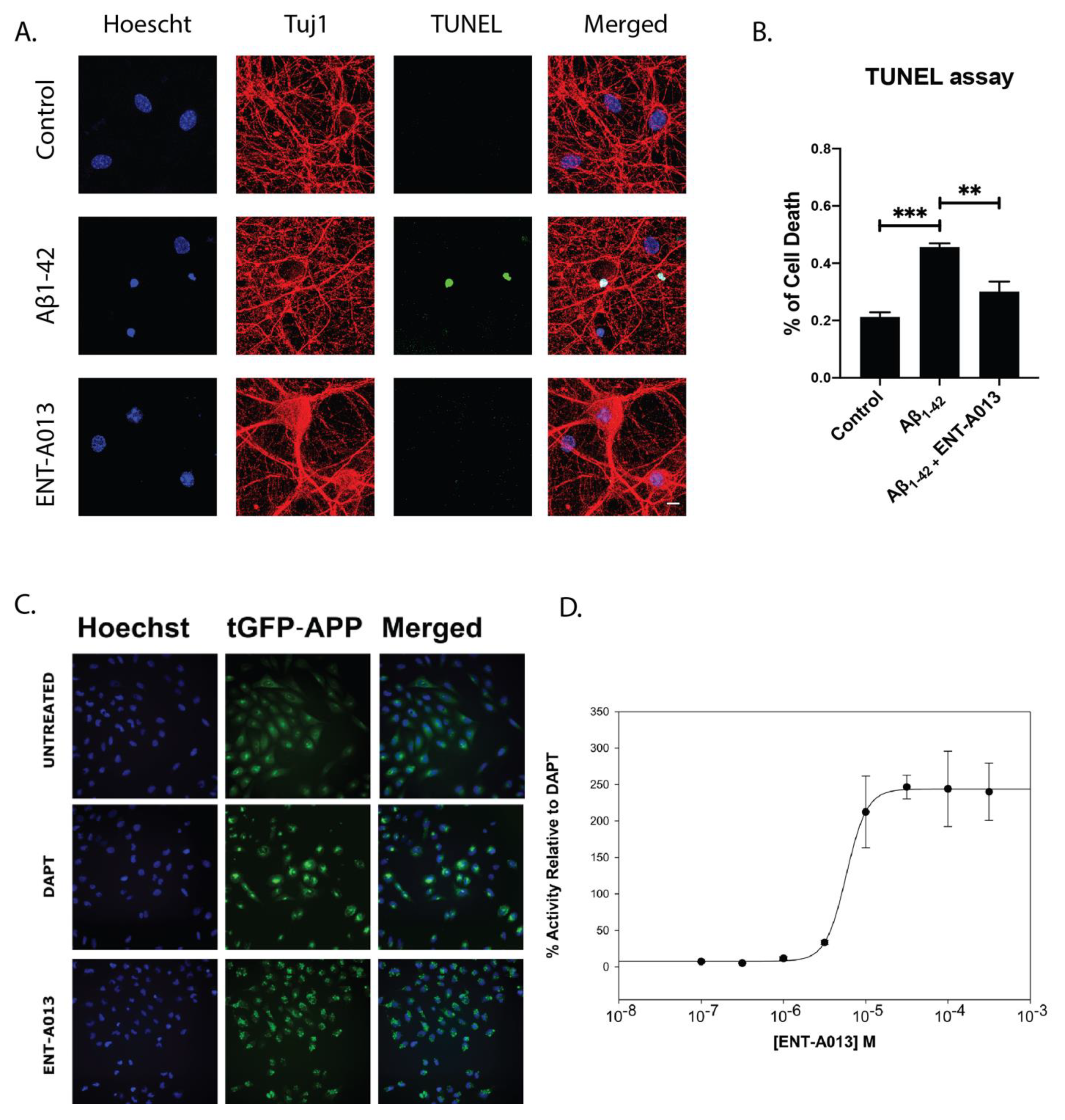 Biomedicines 10 00614 g005 Biomedicines 10 00614 g005