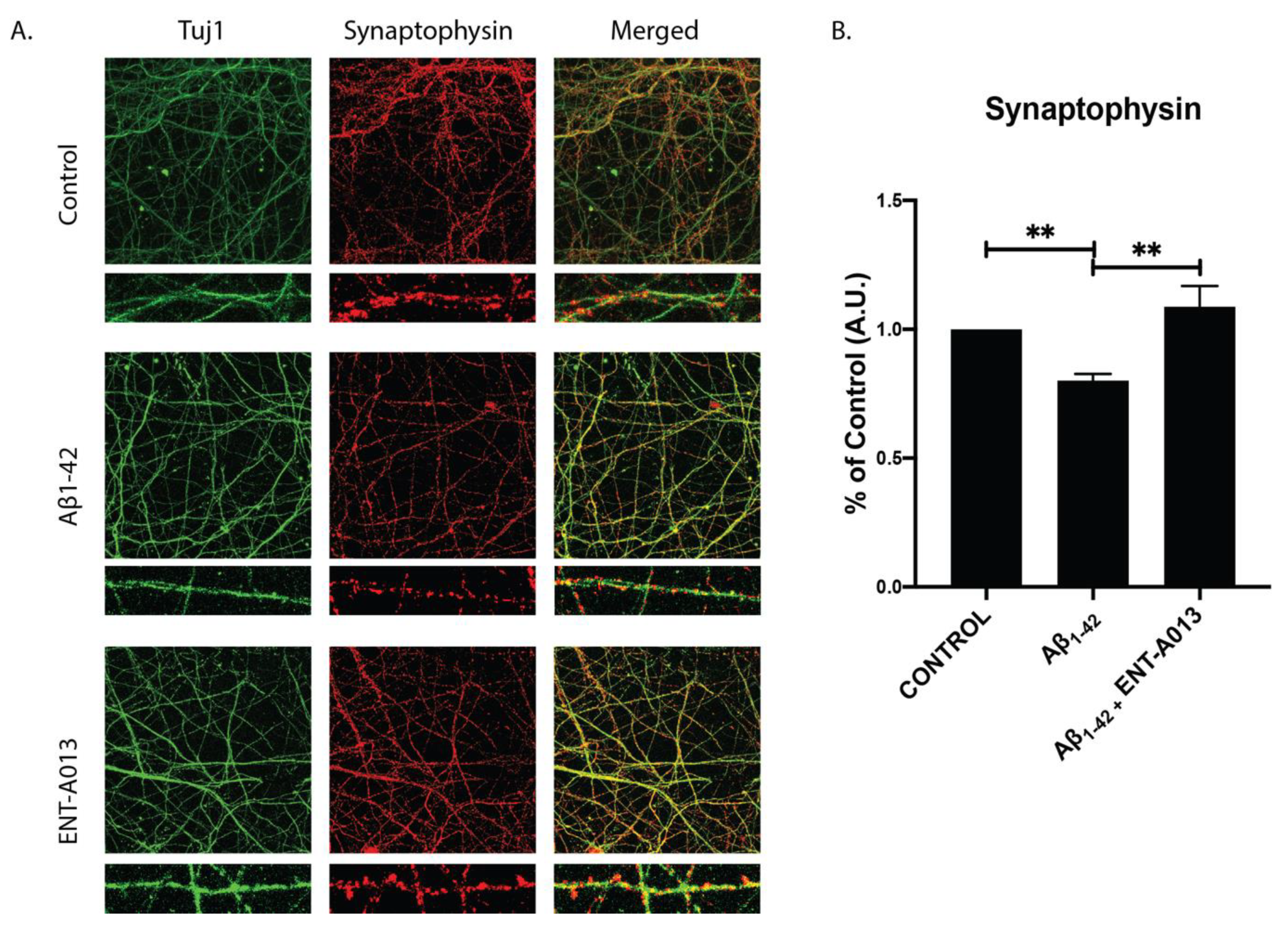 Biomedicines 10 00614 g006 Biomedicines 10 00614 g006