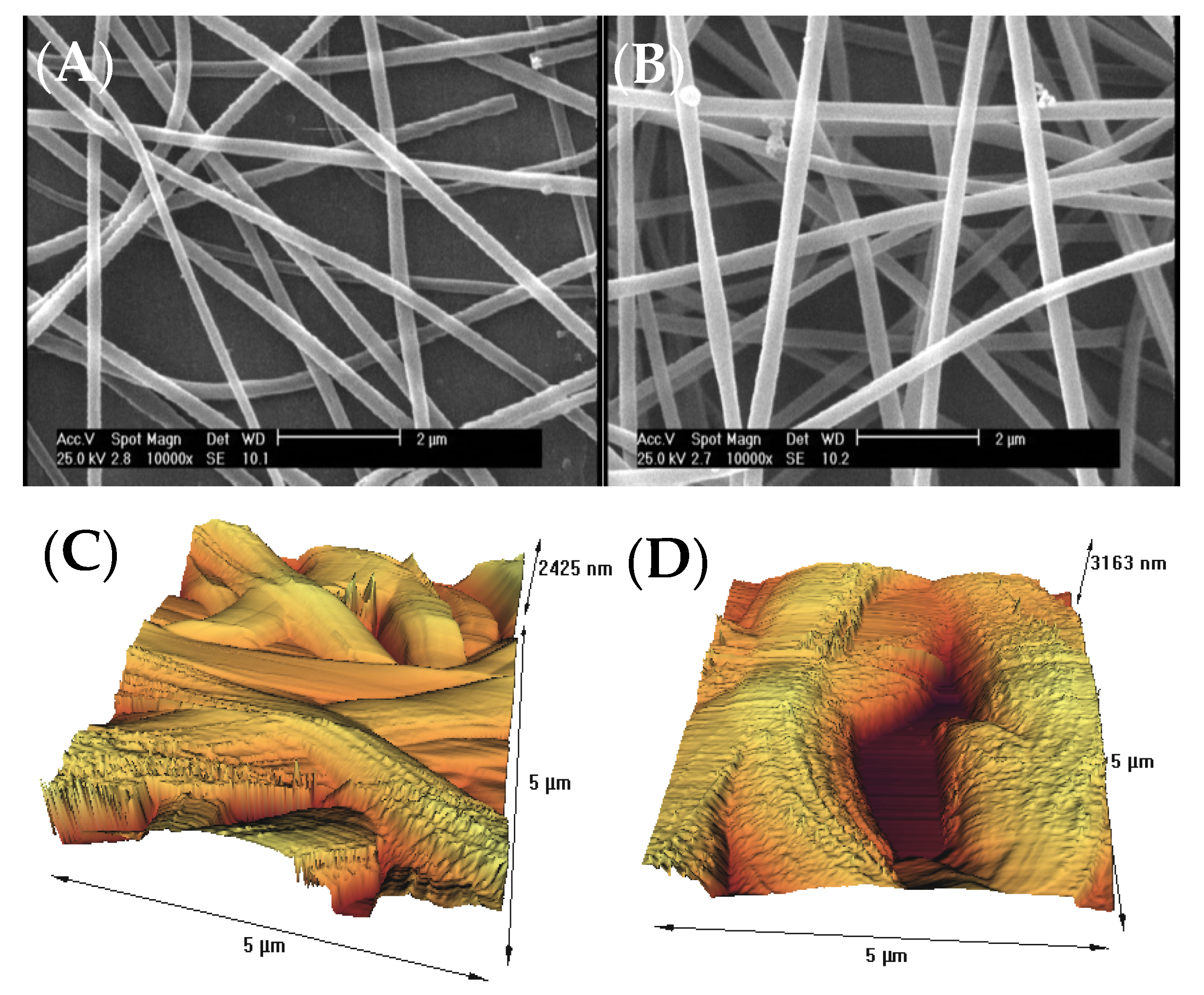 Biomedicines 10 00617 g001