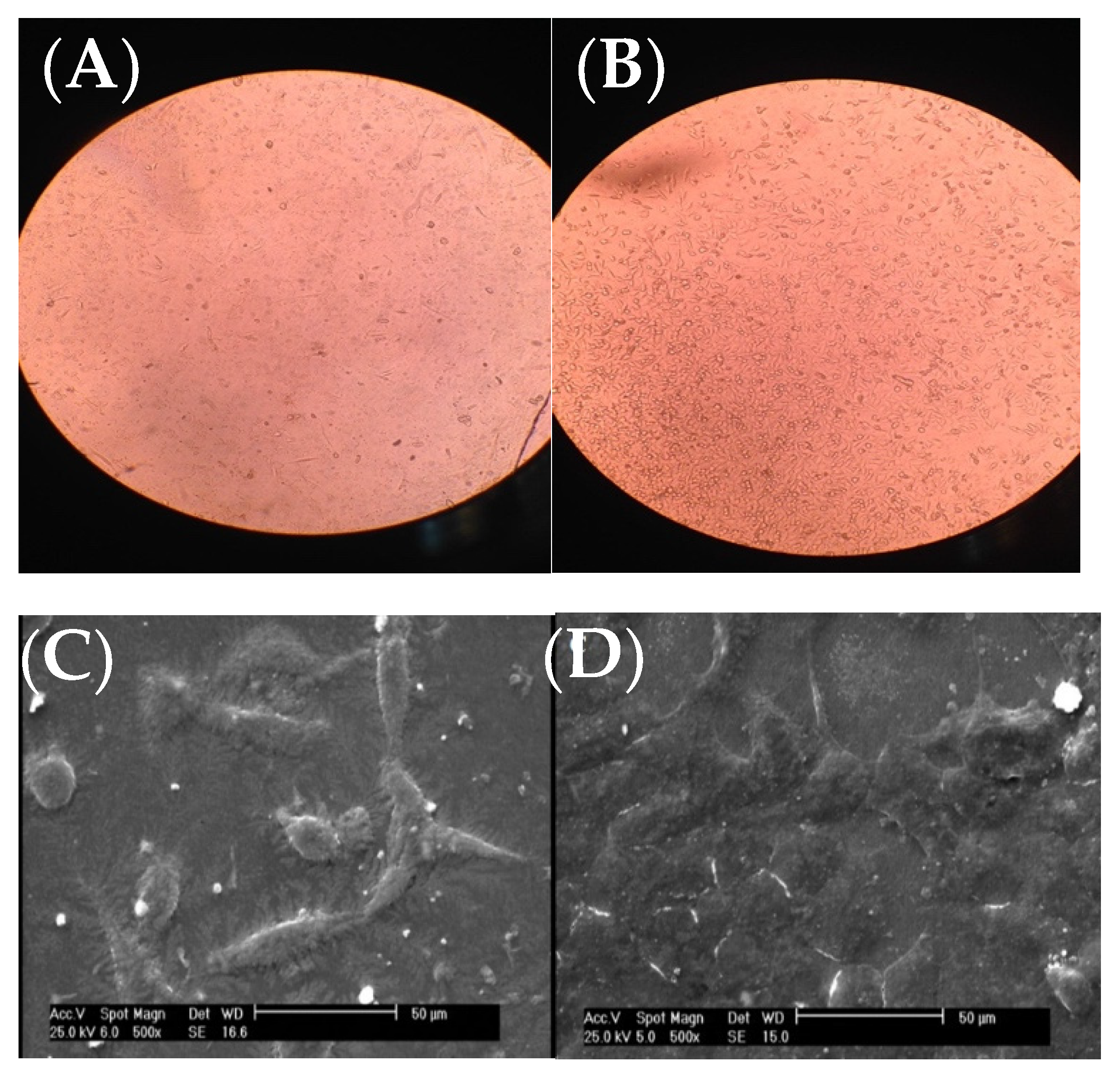 Biomedicines 10 00617 g004