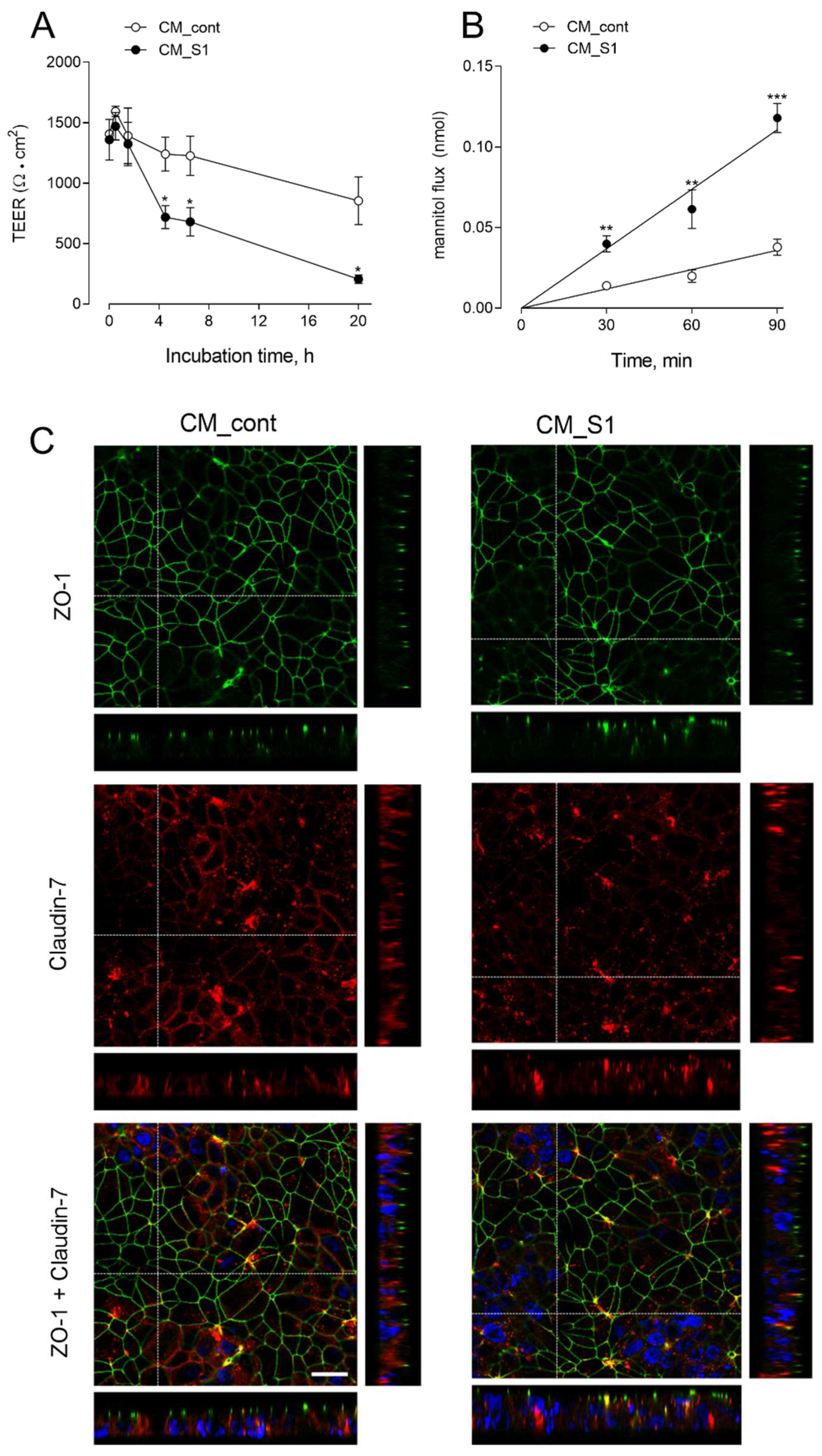 Biomedicines 10 00618 g005