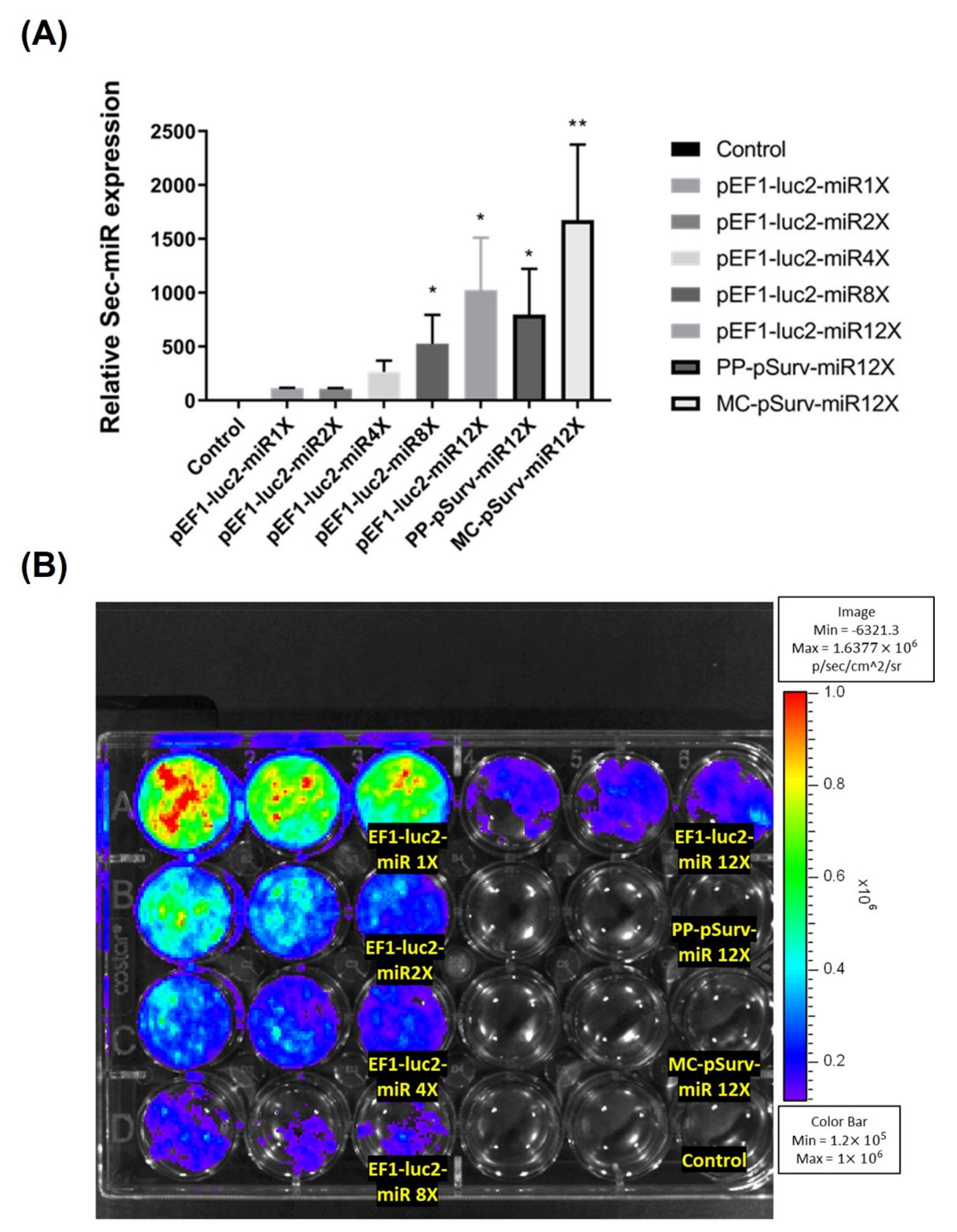 Biomedicines 10 00621 g001 Biomedicines 10 00621 g001