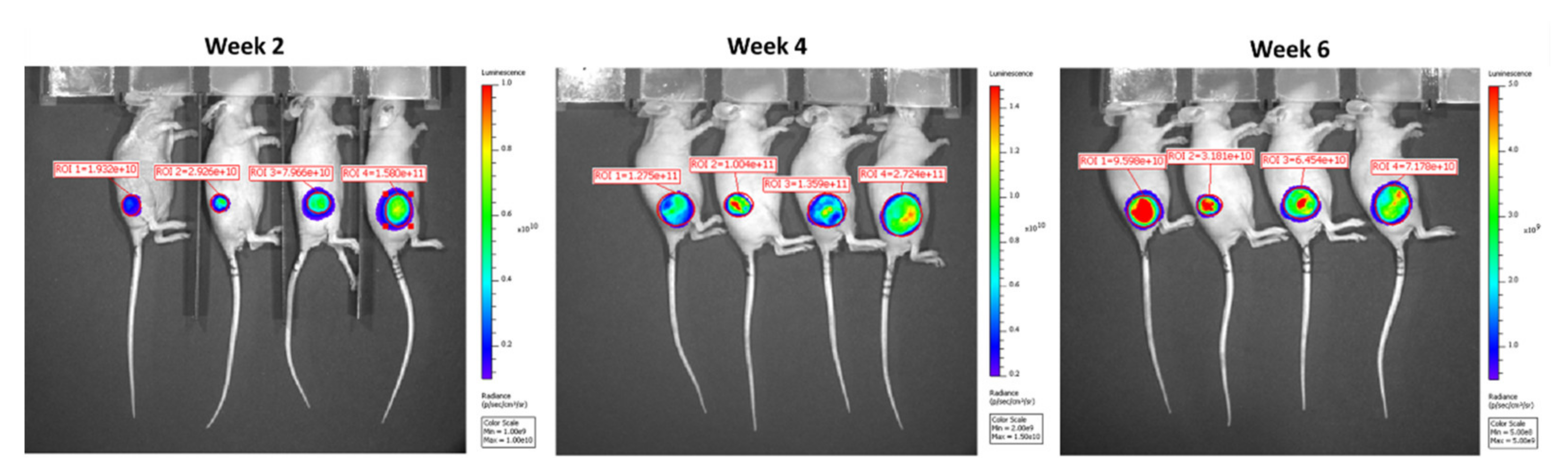 Biomedicines 10 00621 g0a2 Biomedicines 10 00621 g0a2