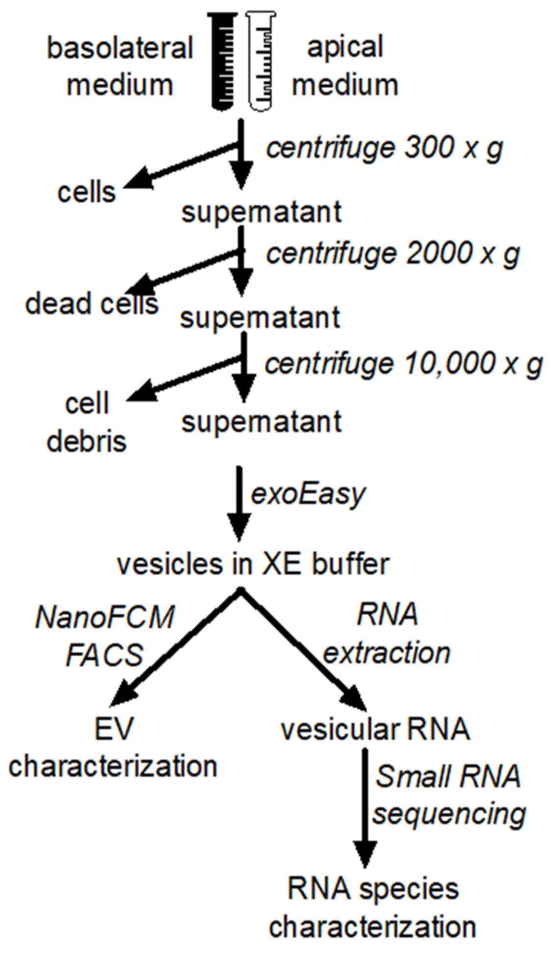Biomedicines 10 00622 g001 550