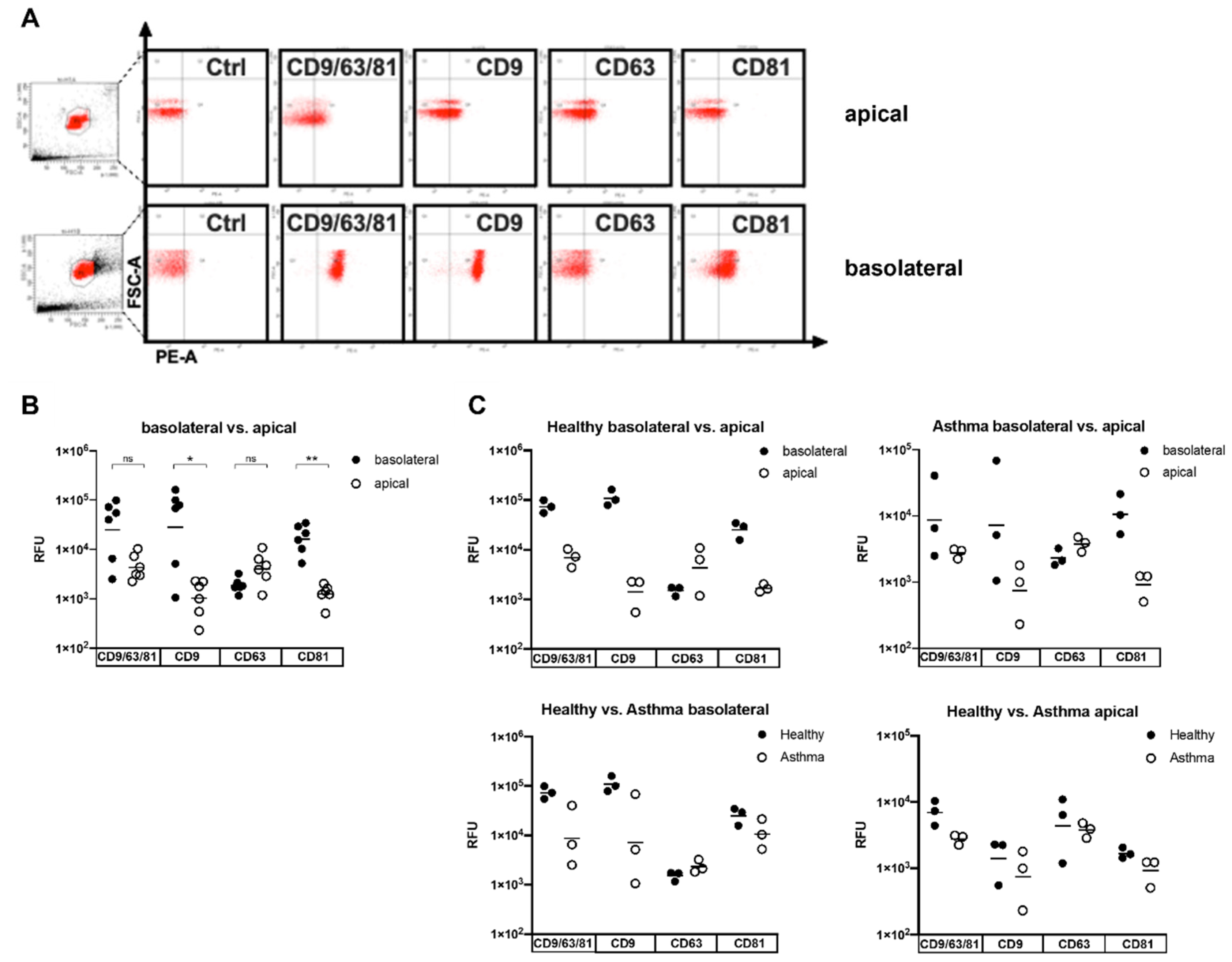 Biomedicines 10 00622 g003 550