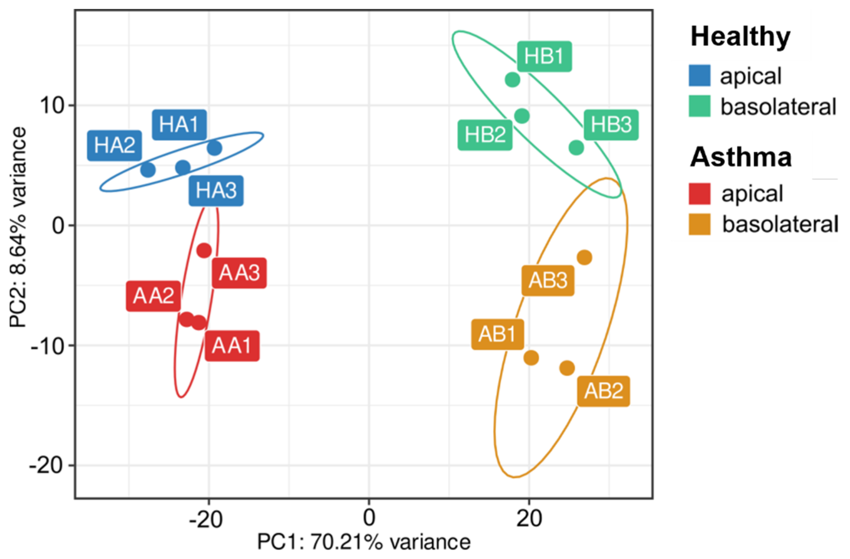 Biomedicines 10 00622 g004 550