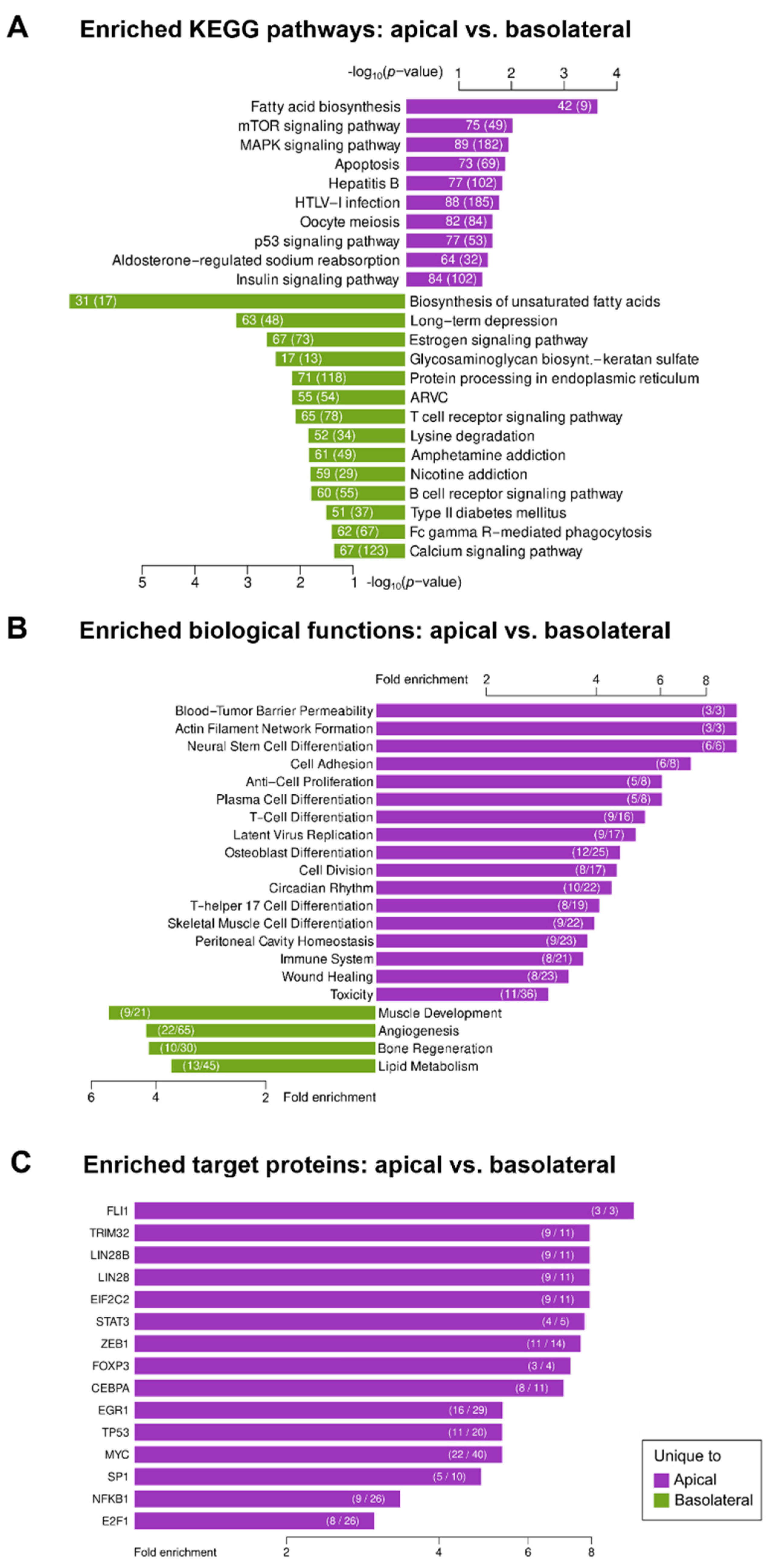 Biomedicines 10 00622 g006 550