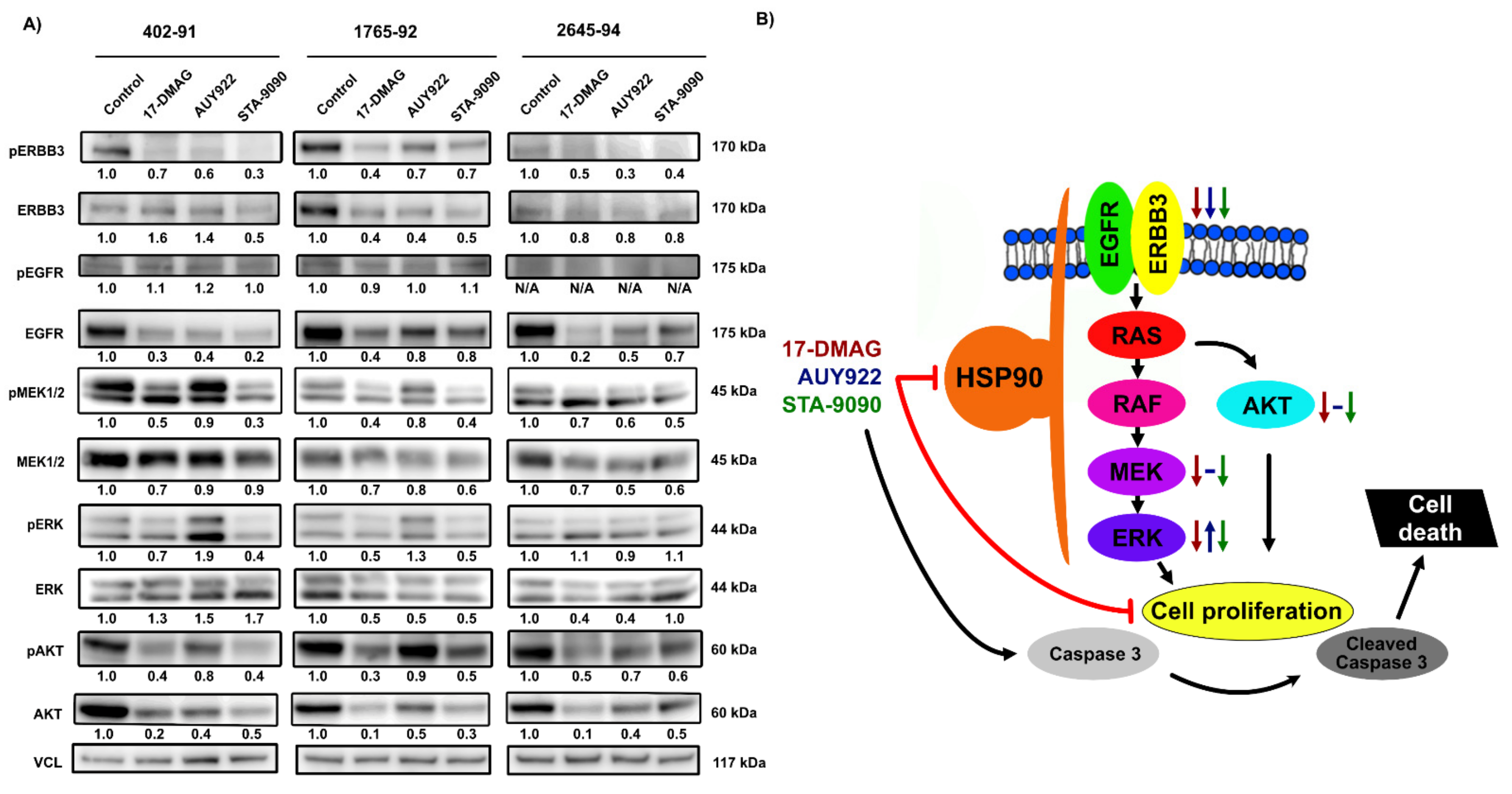 Biomedicines 10 00624 g003 Biomedicines 10 00624 g003
