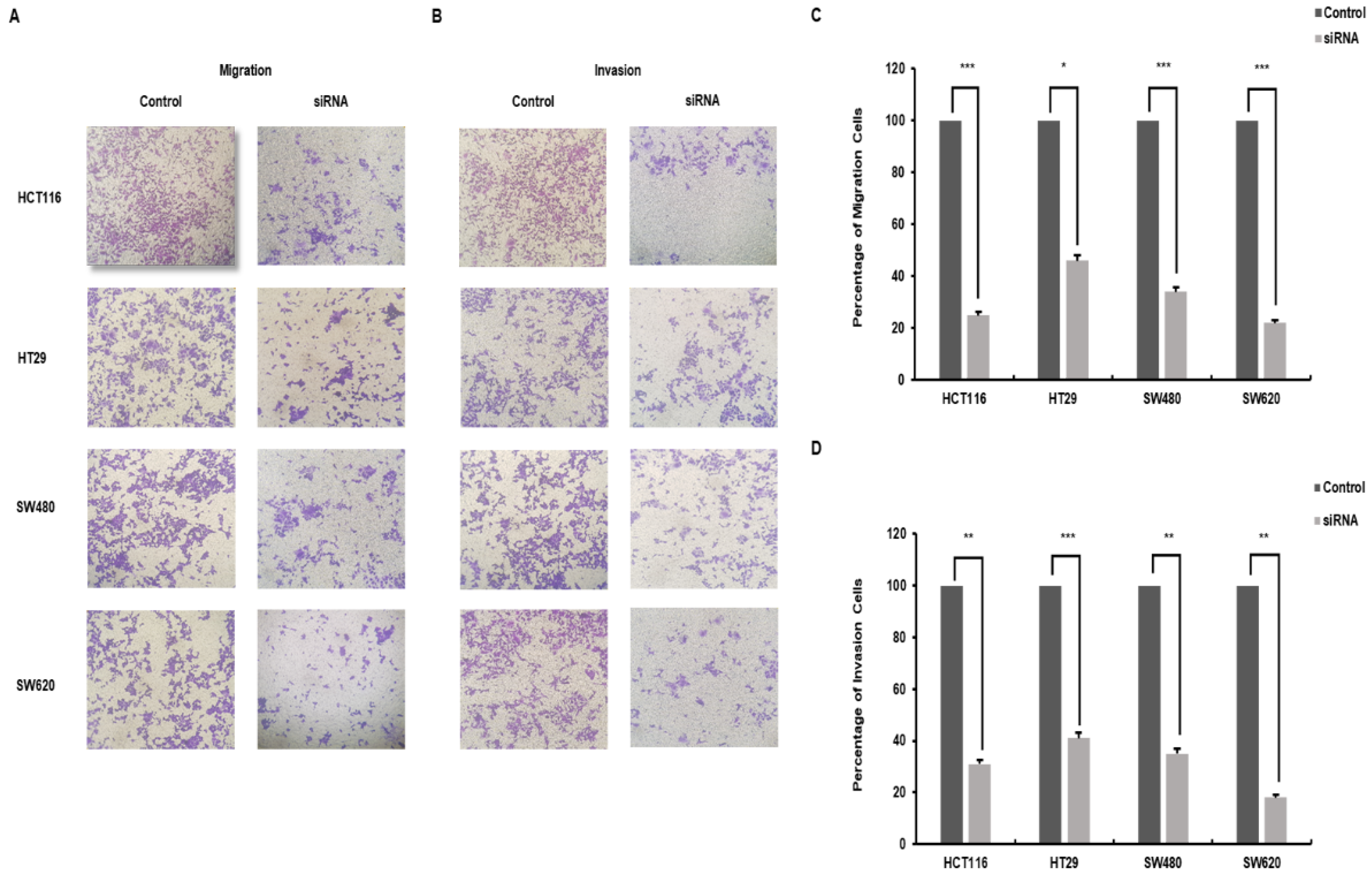 Biomedicines 10 00626 g003 Biomedicines 10 00626 g003