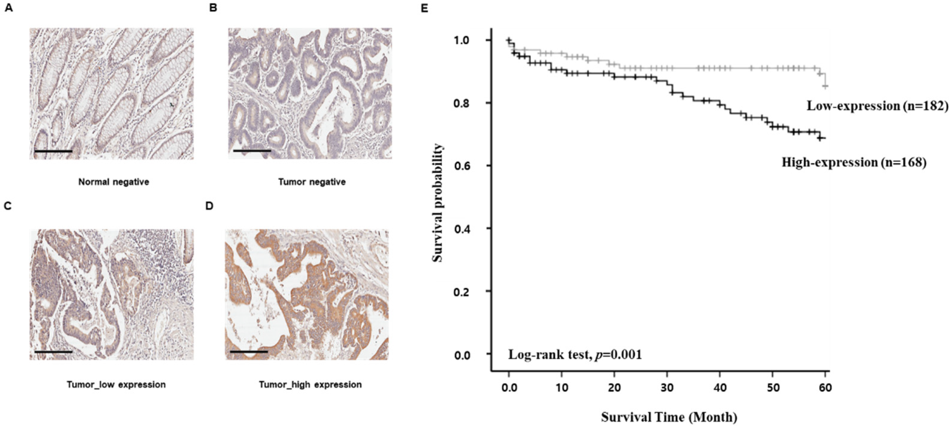 Biomedicines 10 00626 g005 Biomedicines 10 00626 g005
