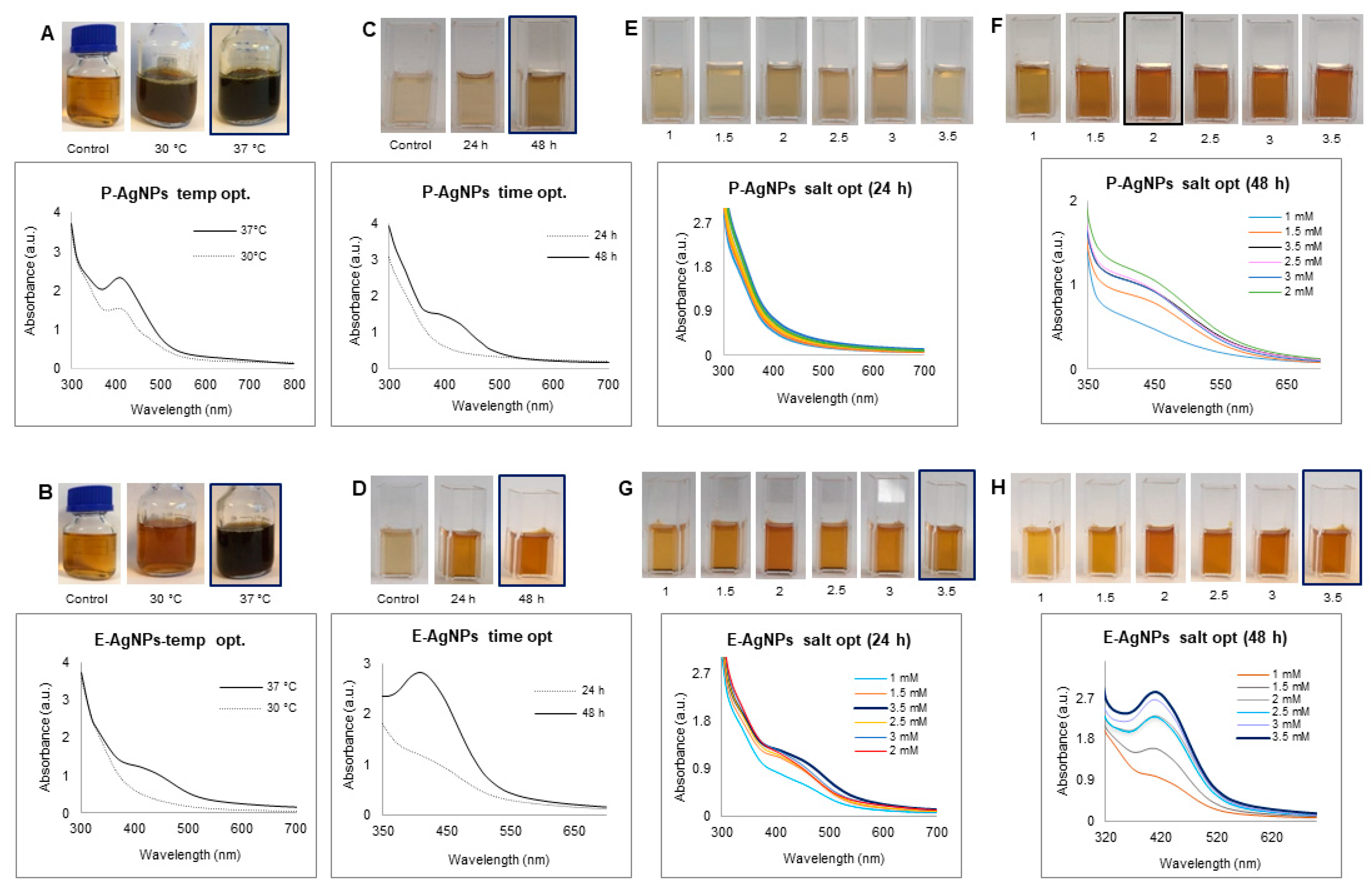 Biomedicines 10 00628 g003