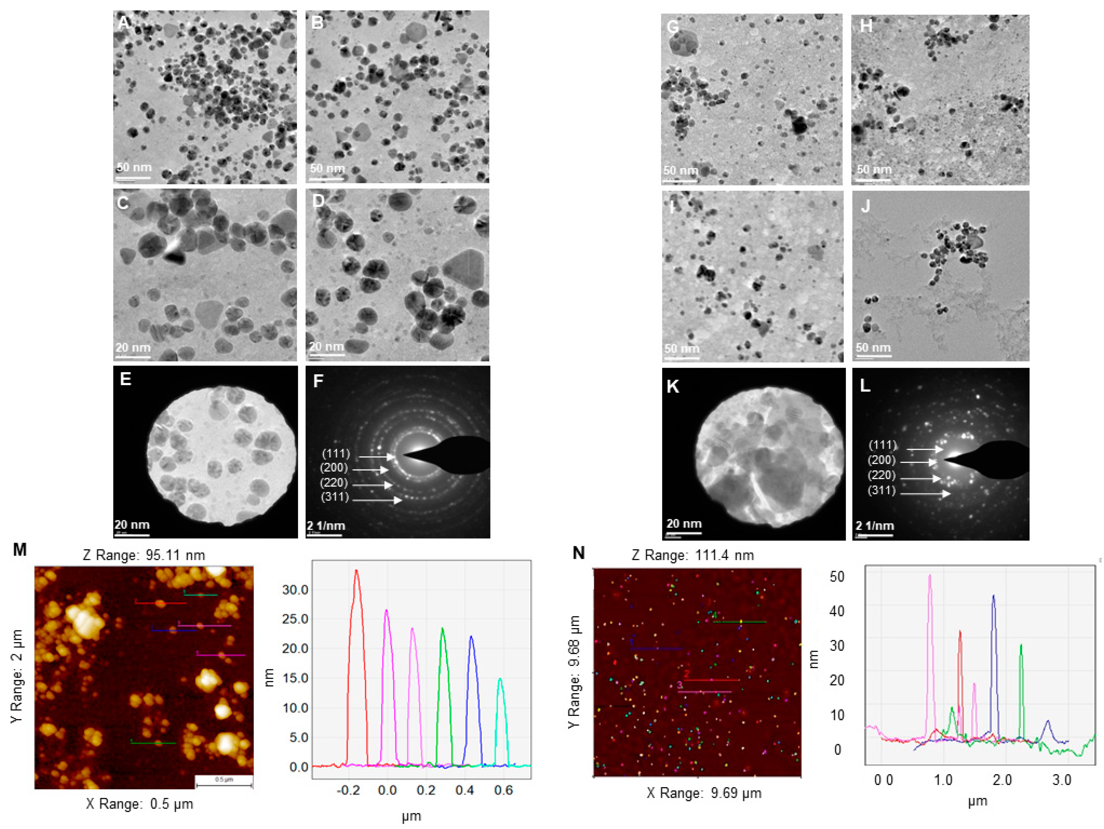 Biomedicines 10 00628 g005