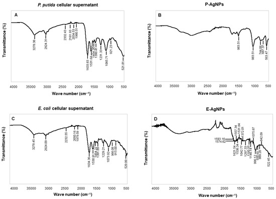Antibacterial Effect of Silver Nanoparticles Is Stronger If