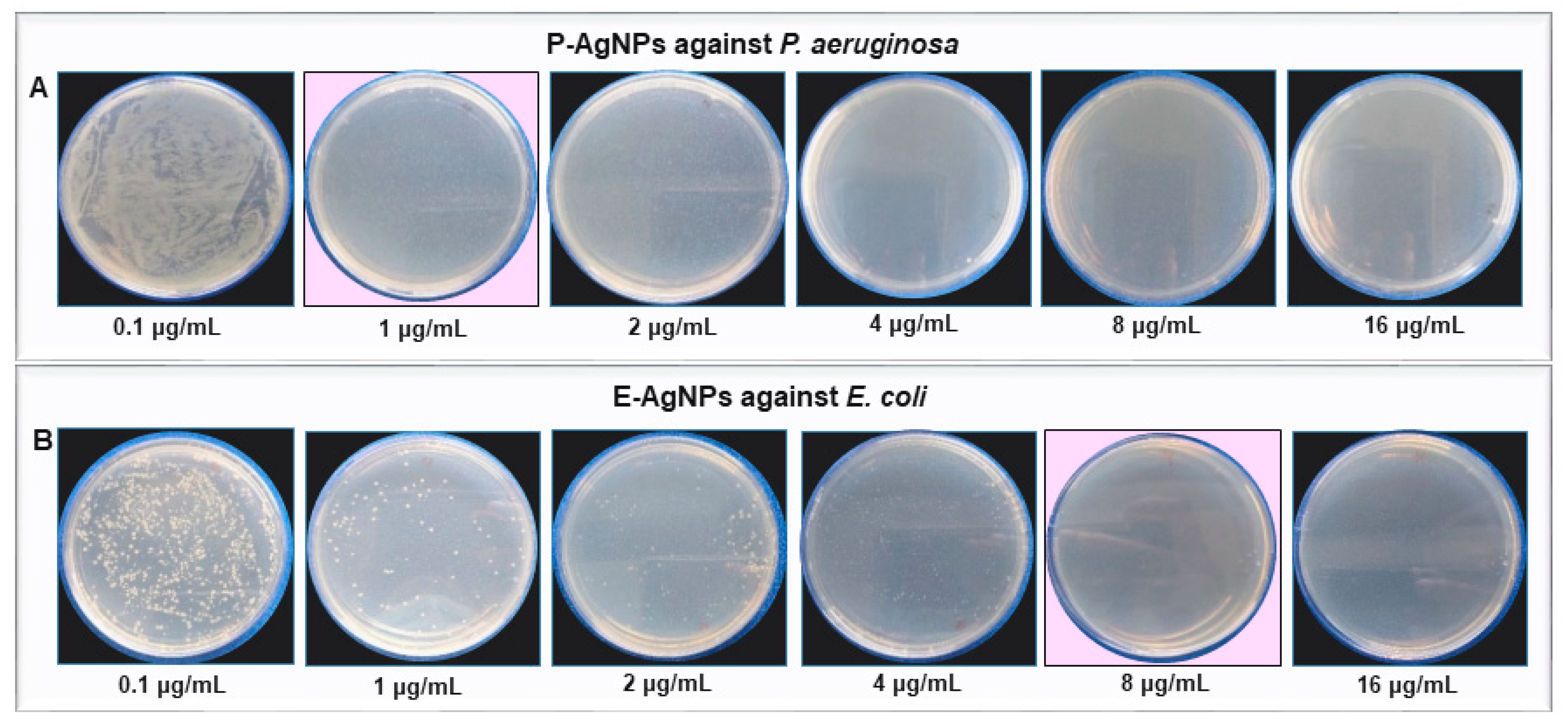 Biomedicines 10 00628 g010