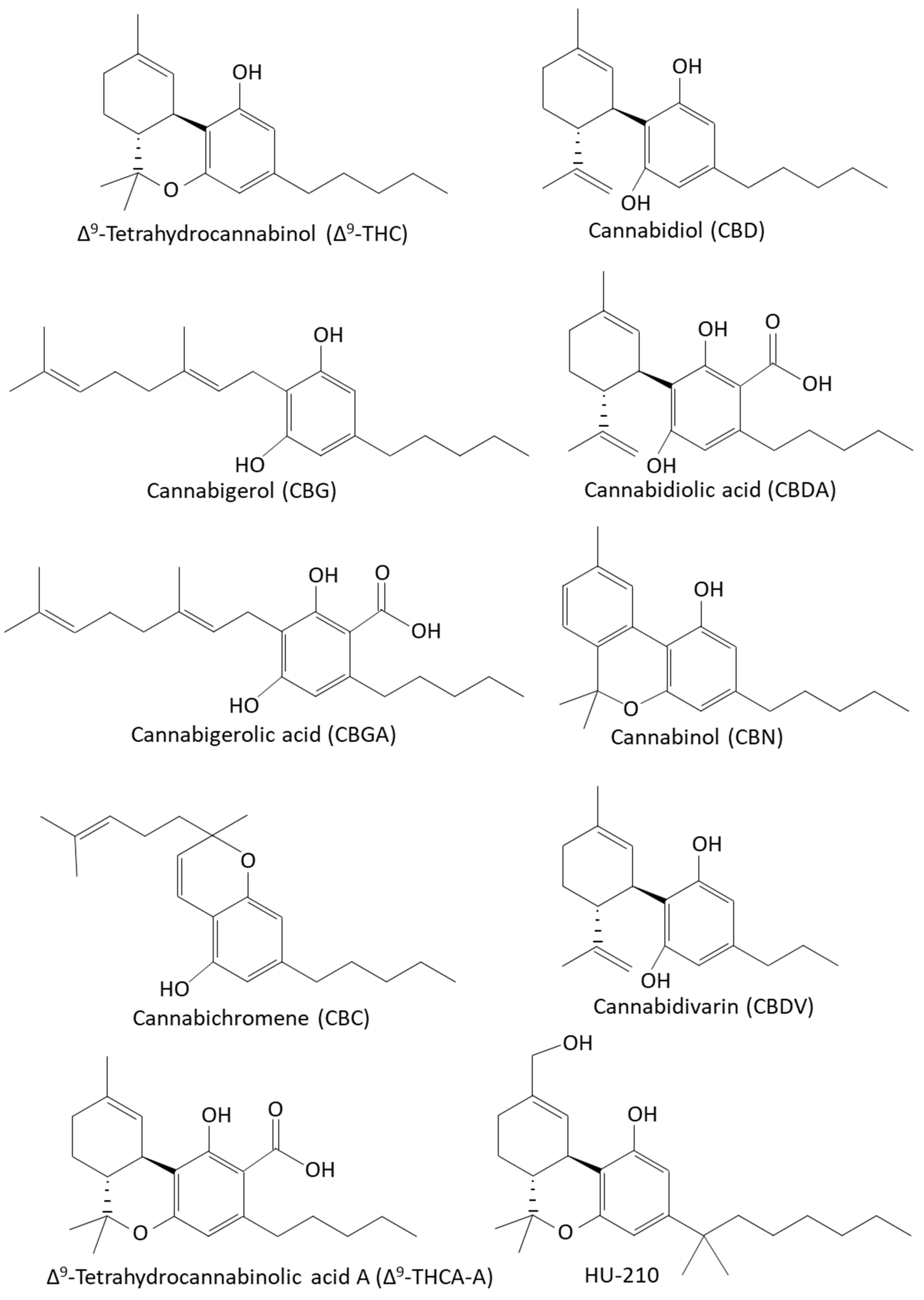 Biomedicines 10 00631 g001 550