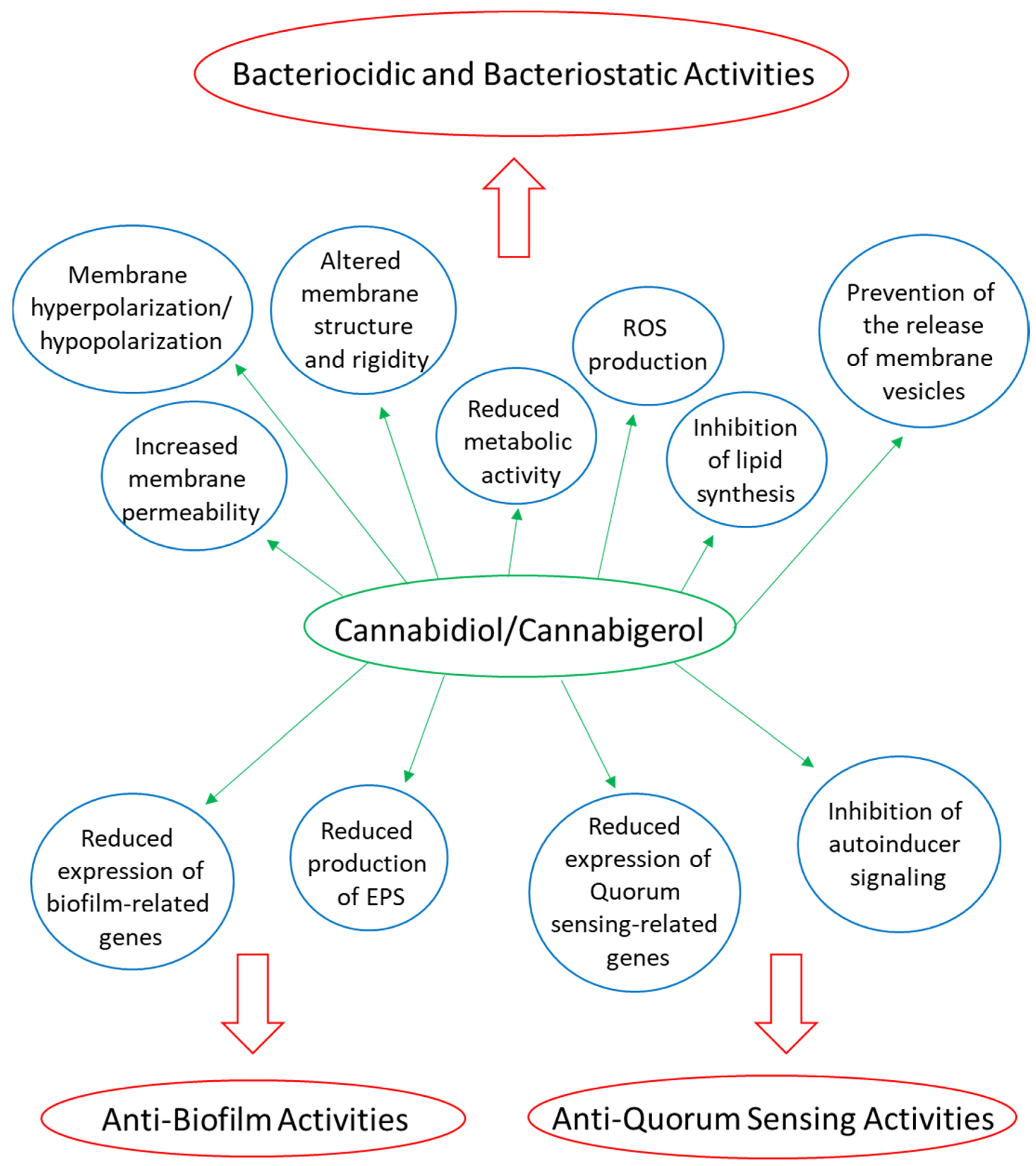 Biomedicines 10 00631 g002 550