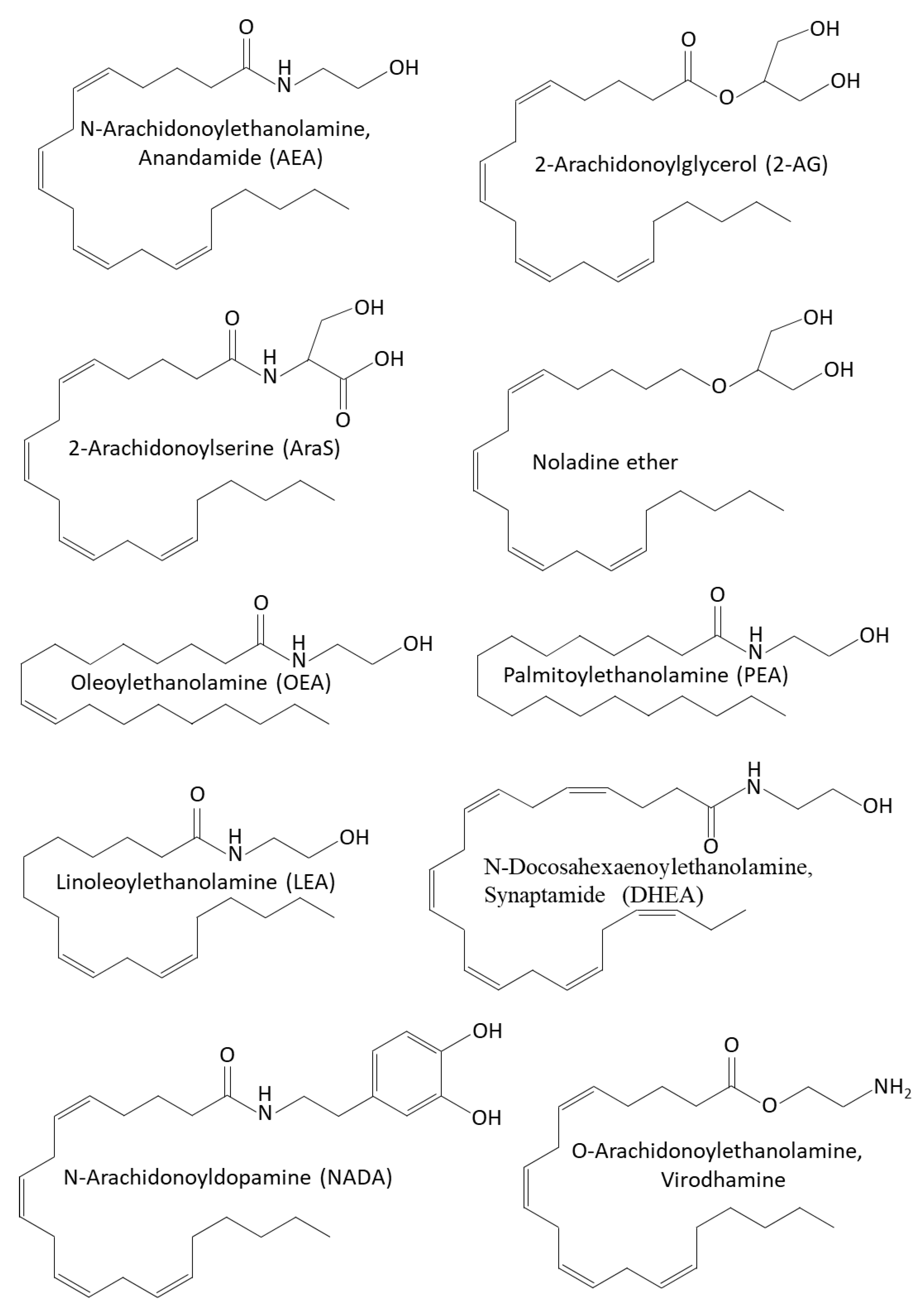 Biomedicines 10 00631 g003 550