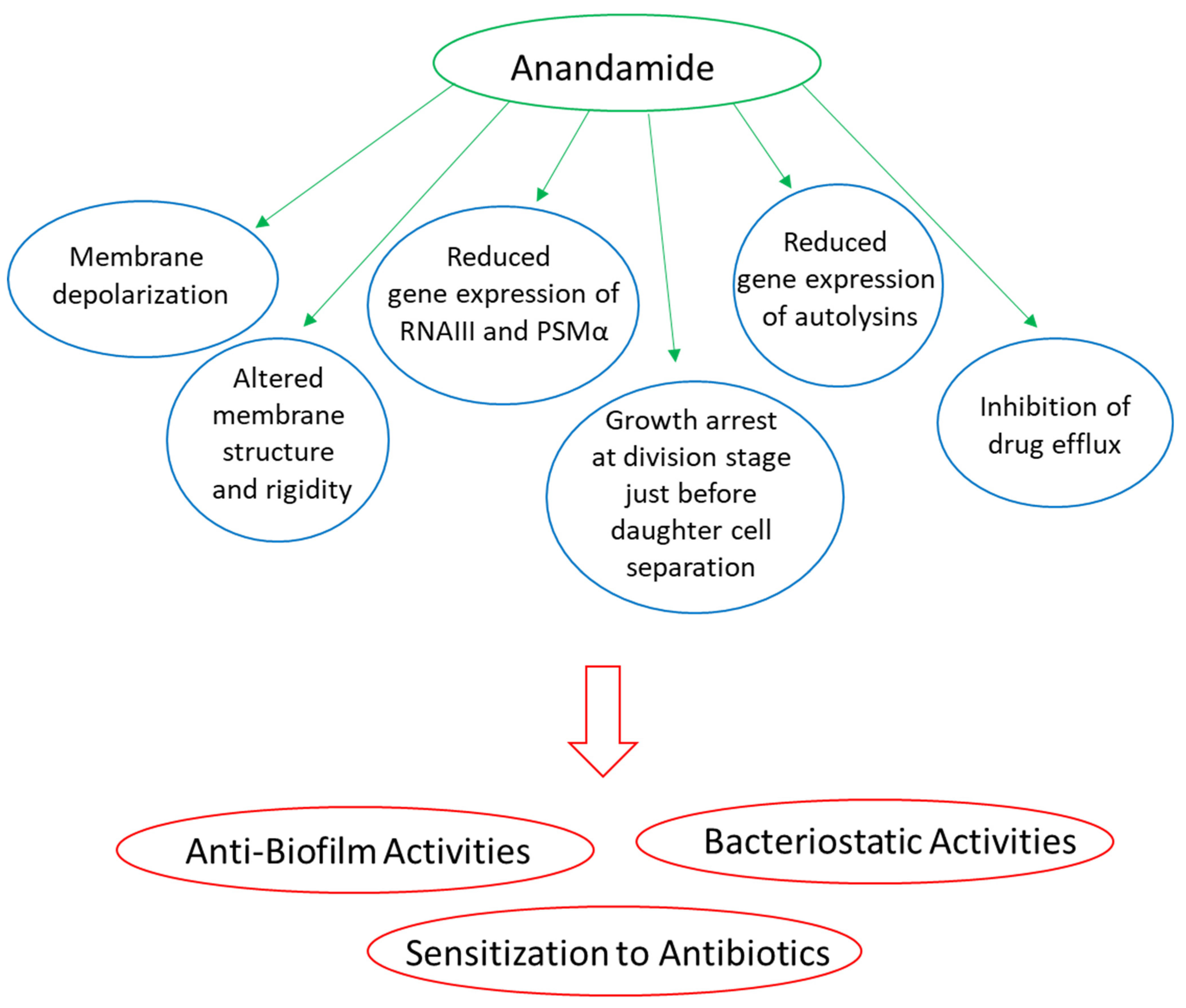 Biomedicines 10 00631 g004 550