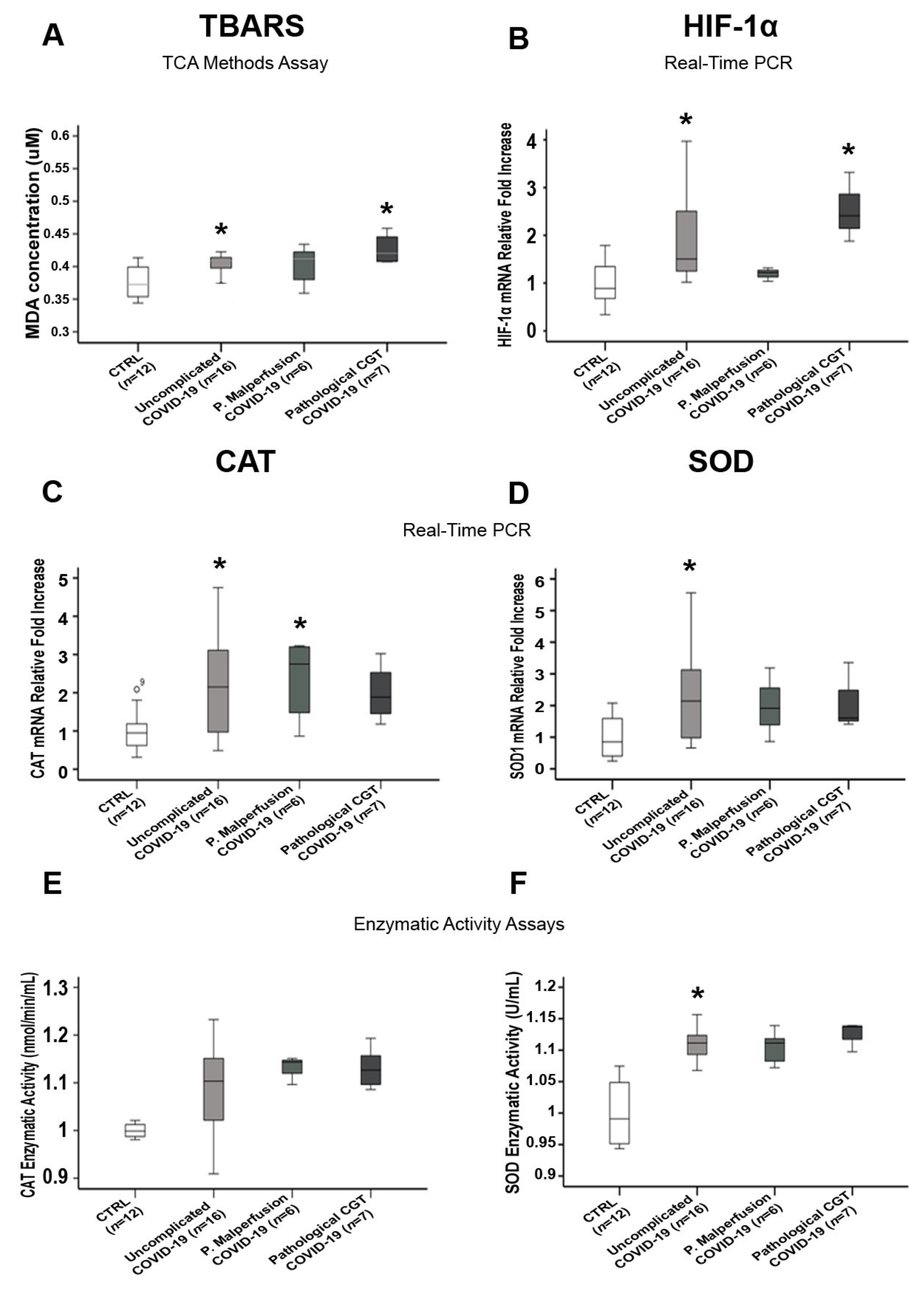 Biomedicines 10 00634 g004 550