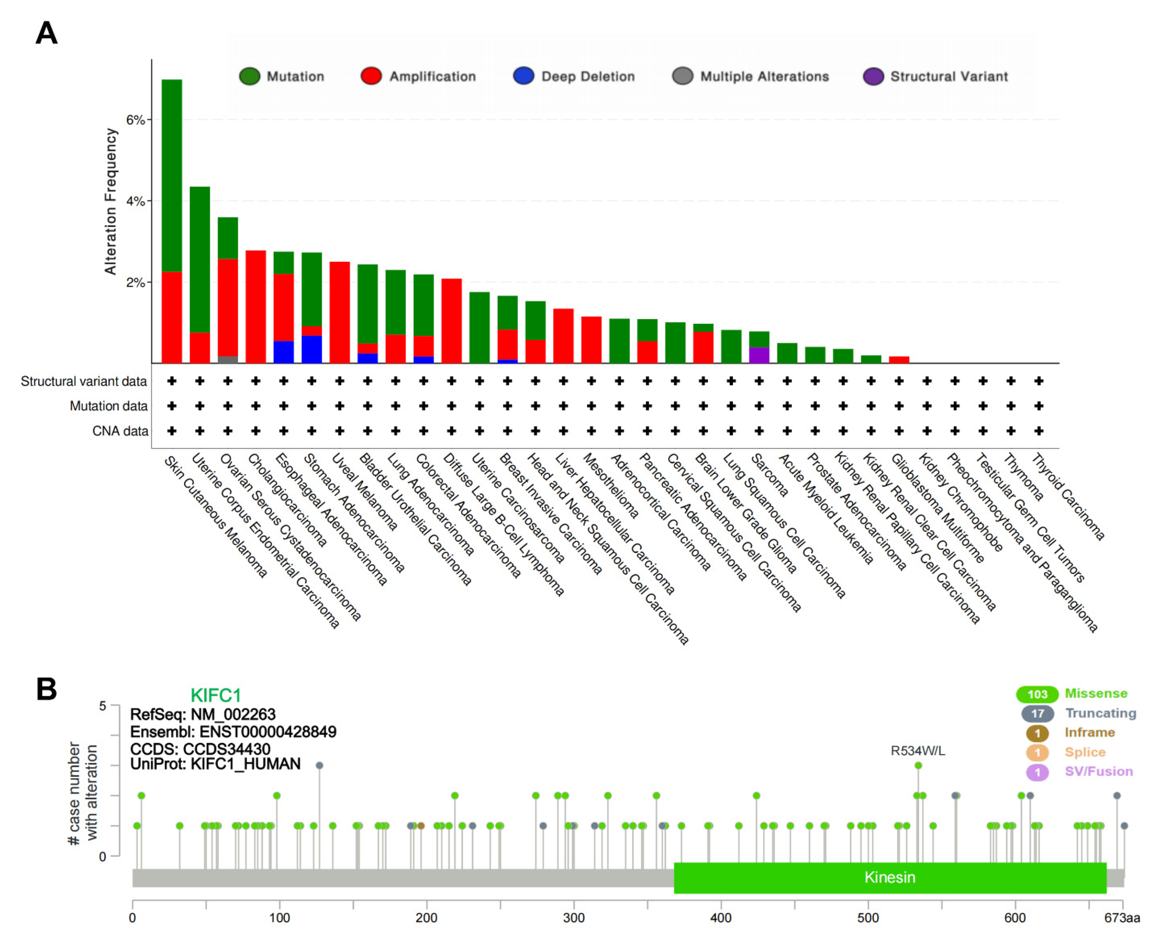 Biomedicines 10 00637 g001