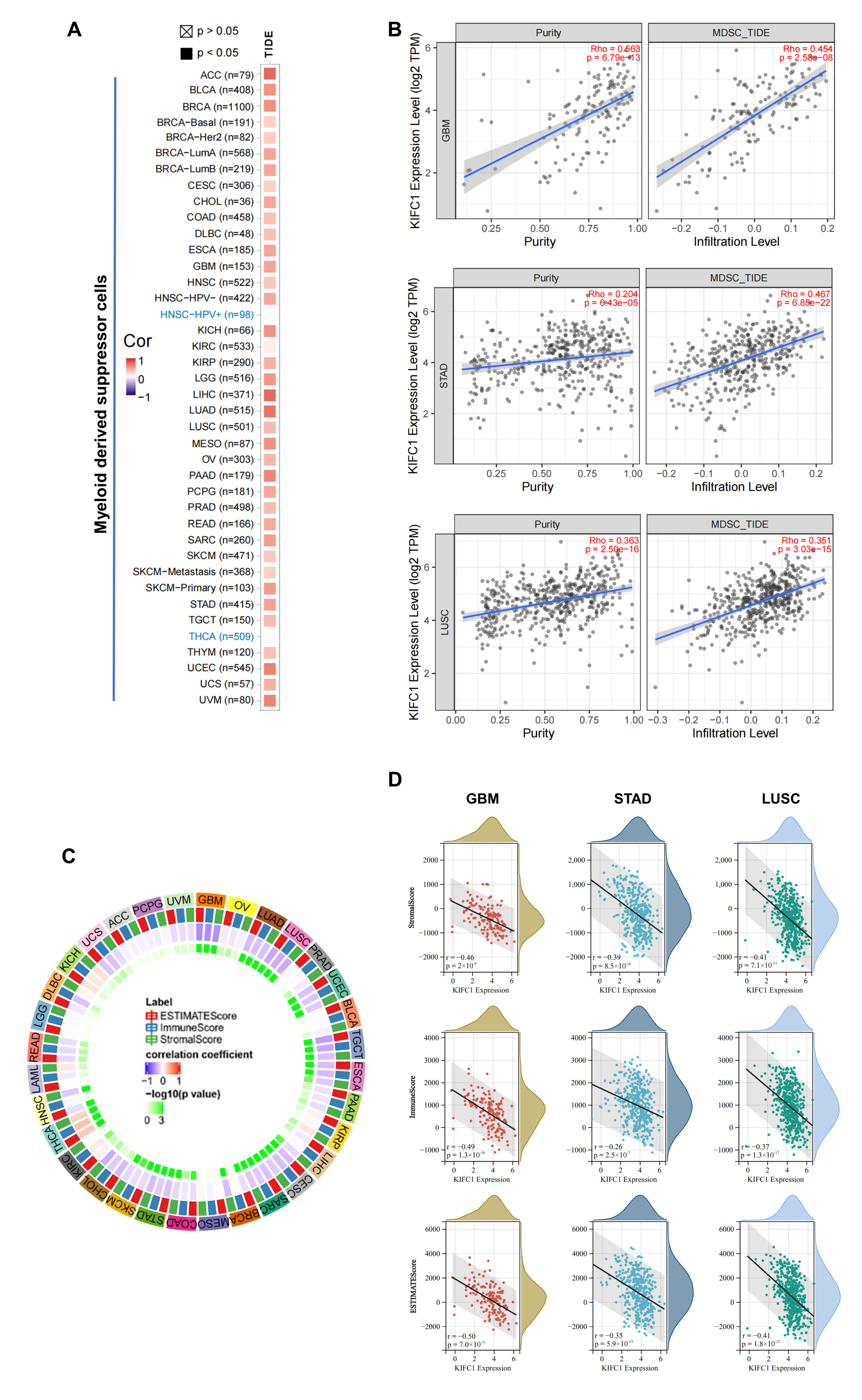 Biomedicines 10 00637 g007