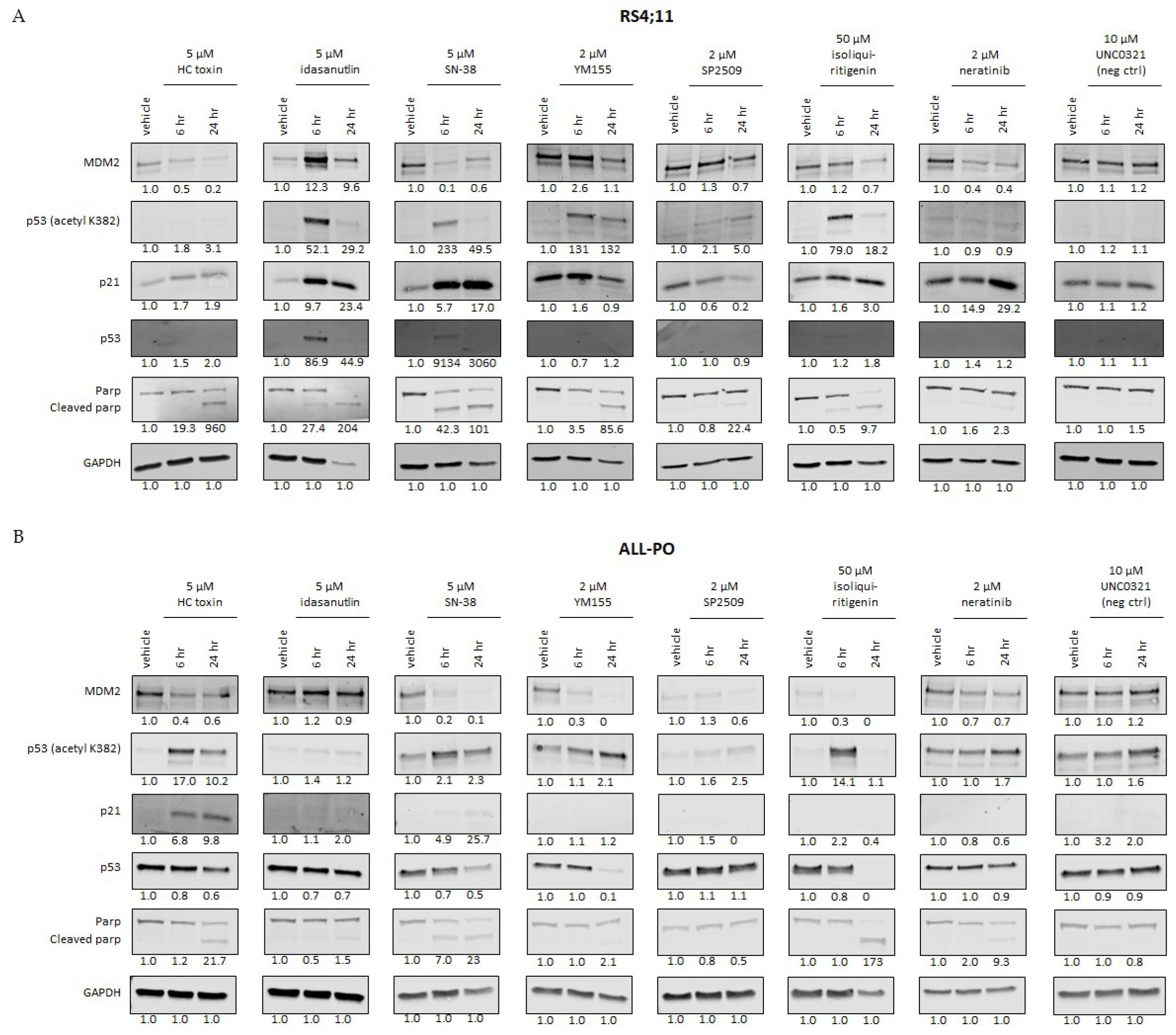 Biomedicines 10 00638 g003 Biomedicines 10 00638 g003