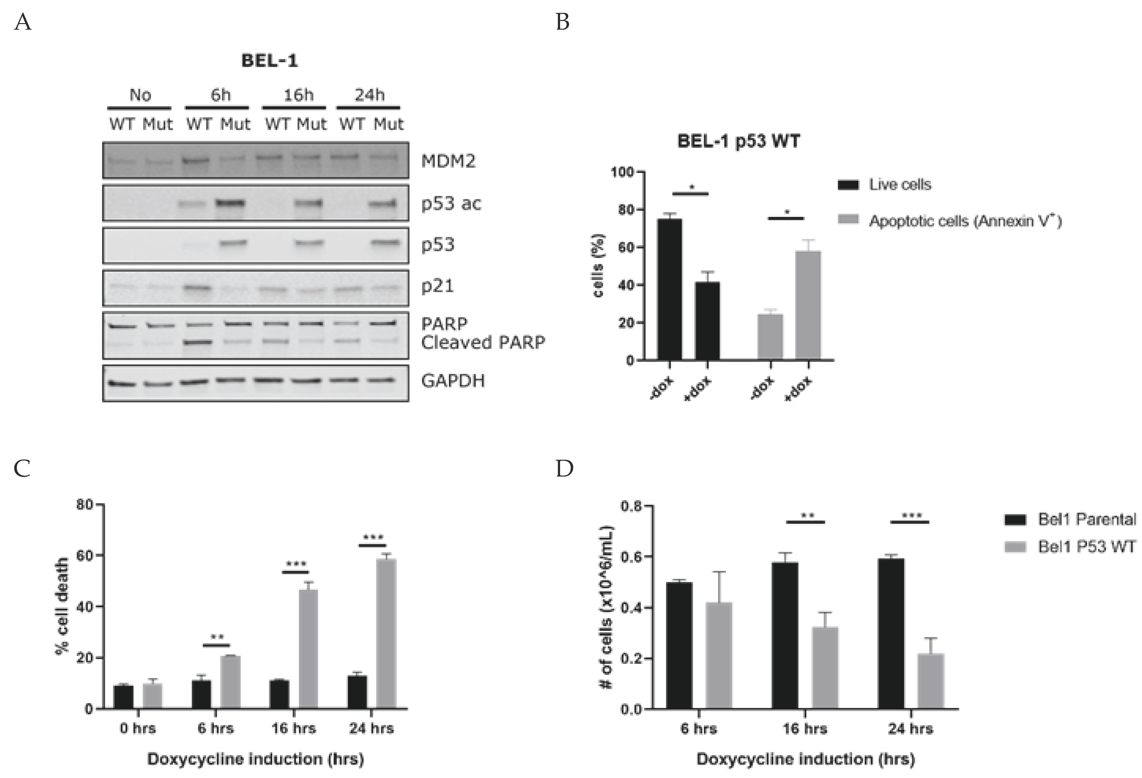 Biomedicines 10 00638 g004 Biomedicines 10 00638 g004