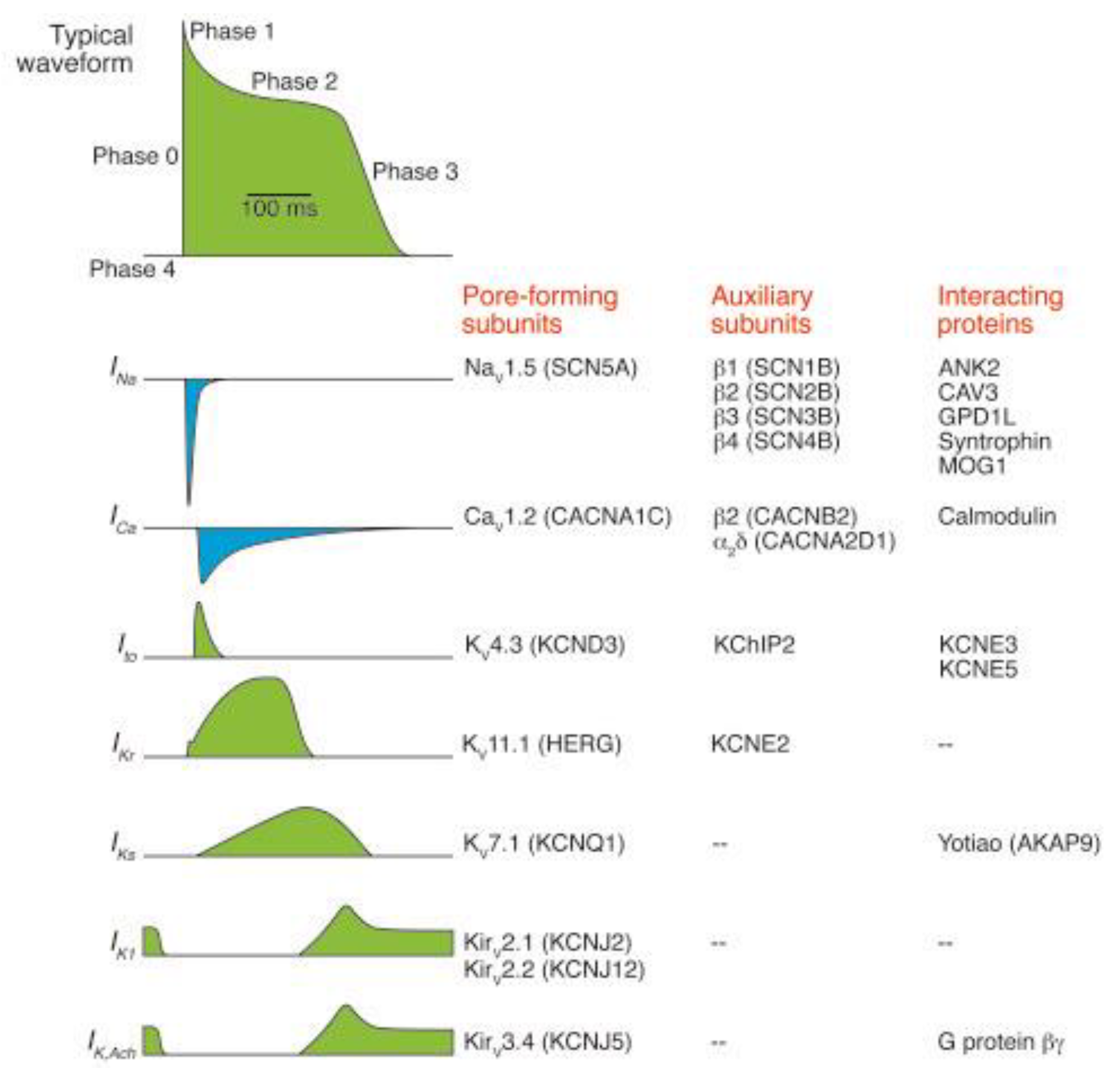 Biomedicines 10 00639 g002 Biomedicines 10 00639 g002