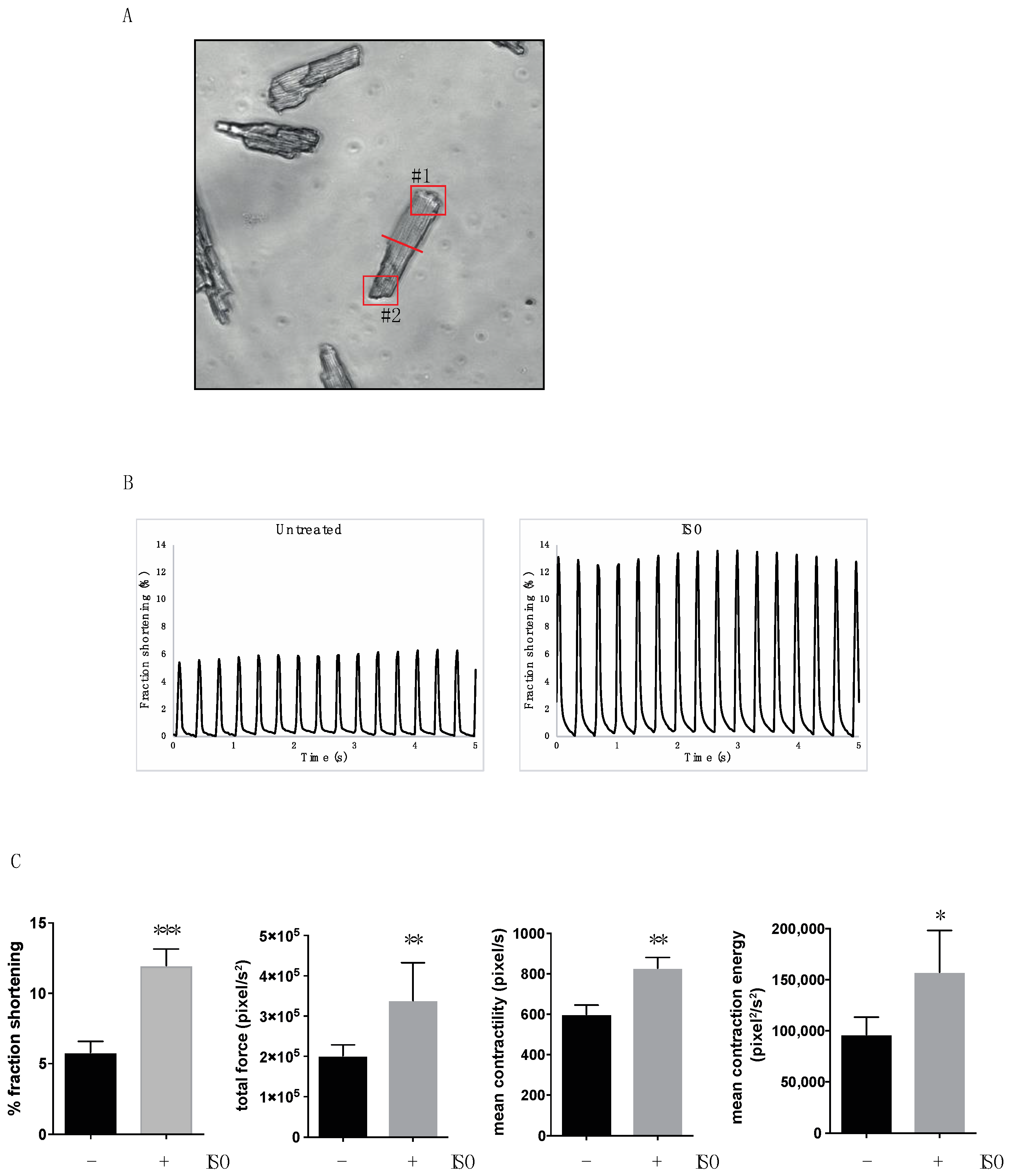 Biomedicines 10 00640 g001 Biomedicines 10 00640 g001