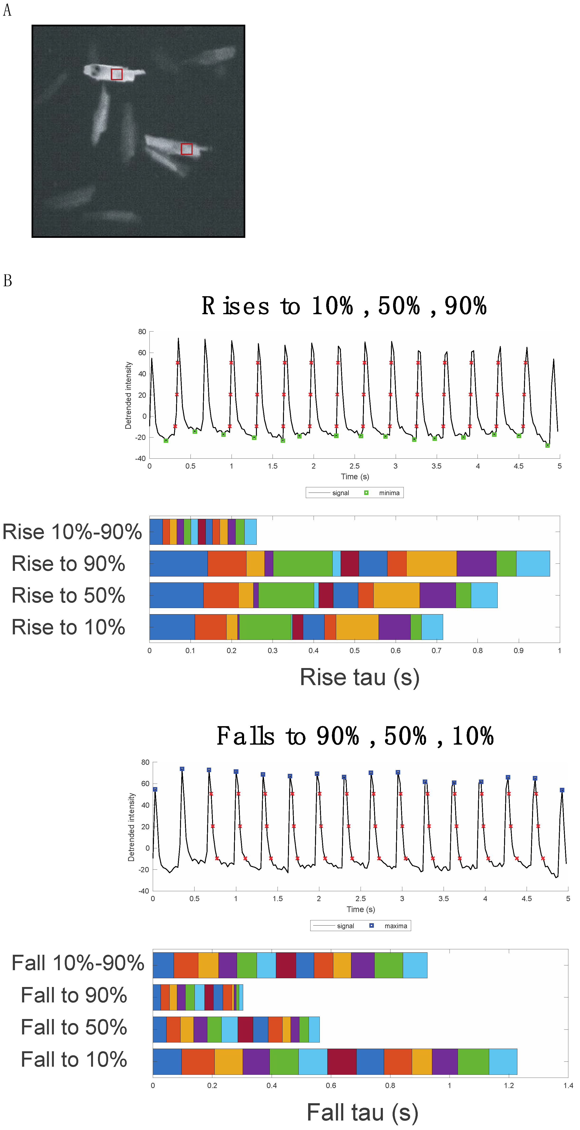 Biomedicines 10 00640 g002 Biomedicines 10 00640 g002