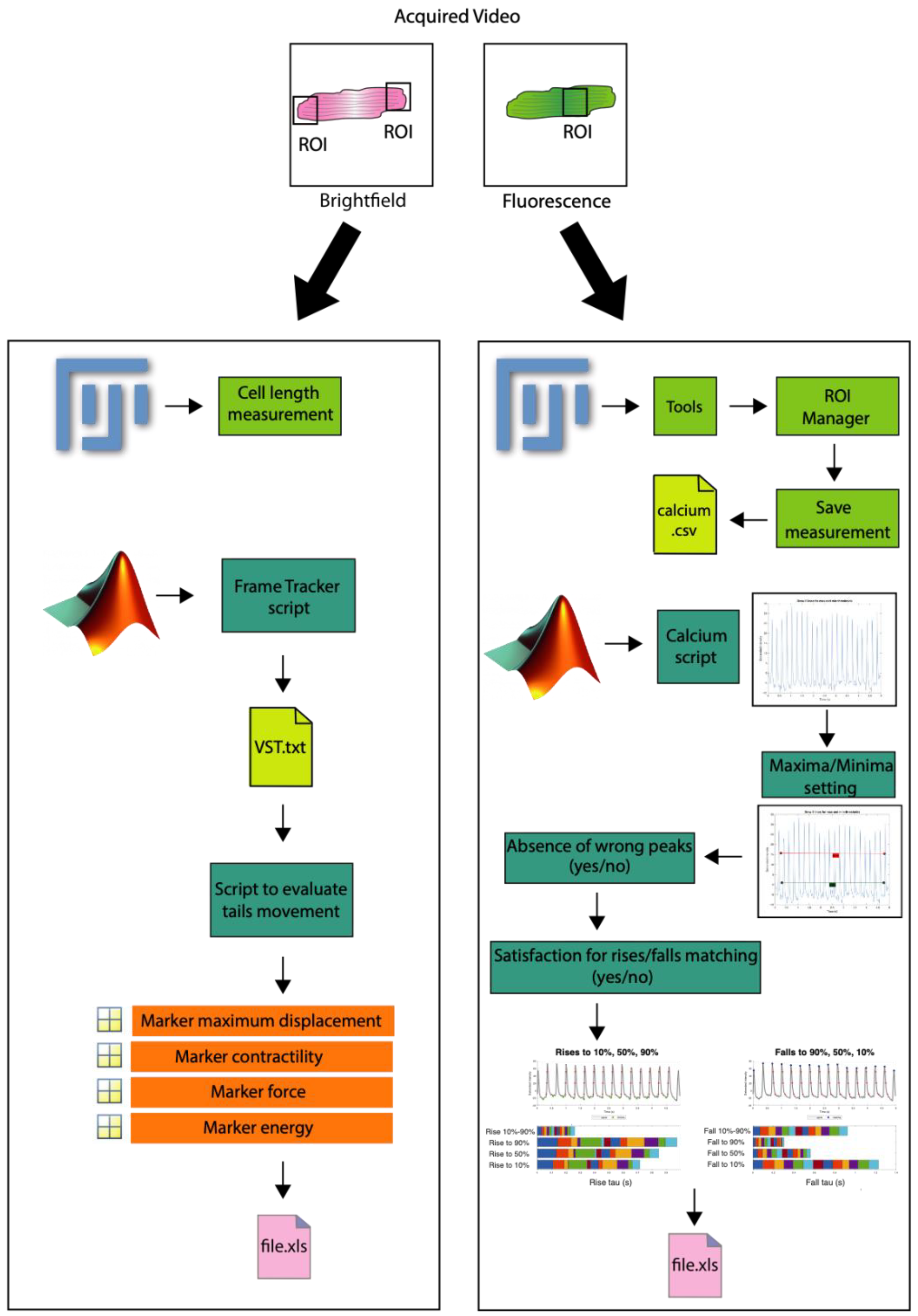 Biomedicines 10 00640 sch001 Biomedicines 10 00640 sch001