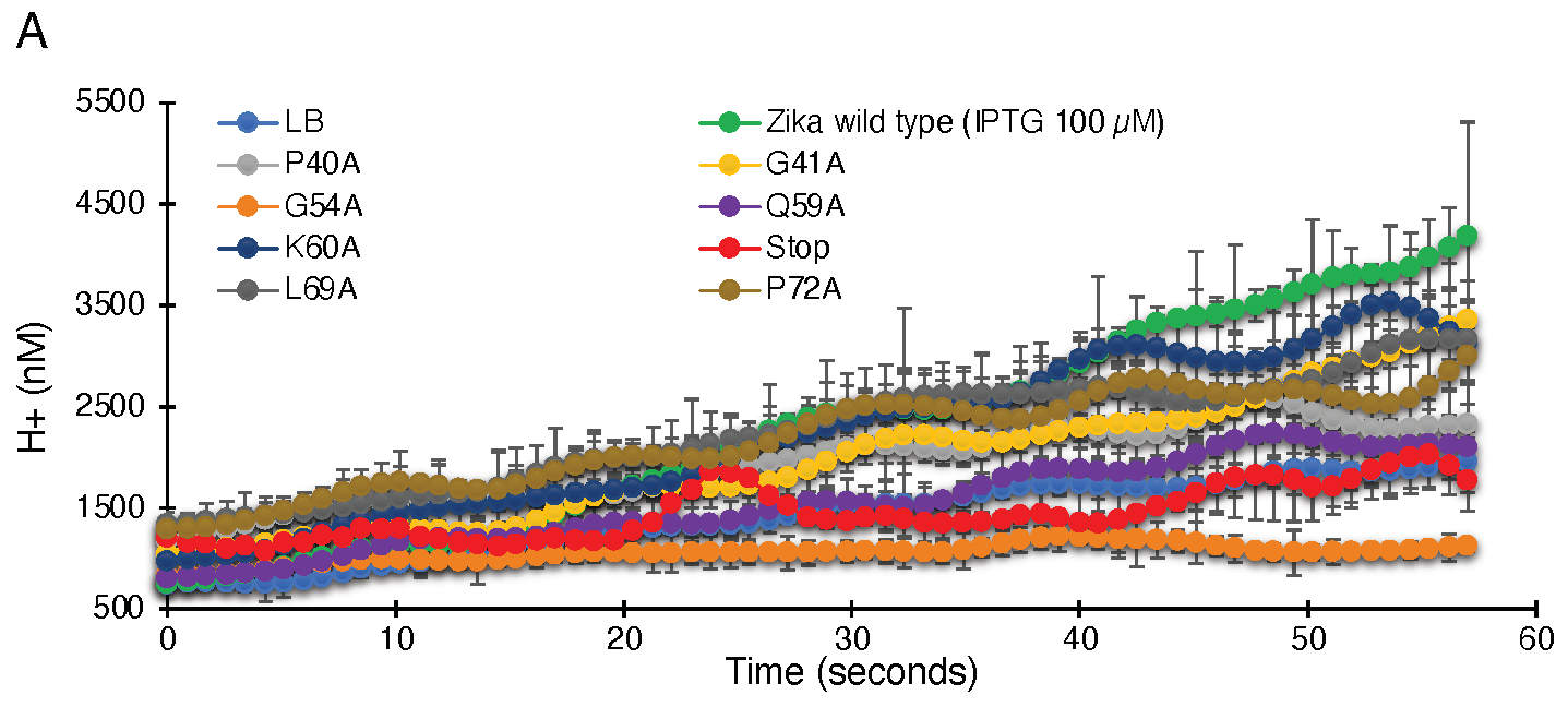 Biomedicines 10 00641 g003a Biomedicines 10 00641 g003a